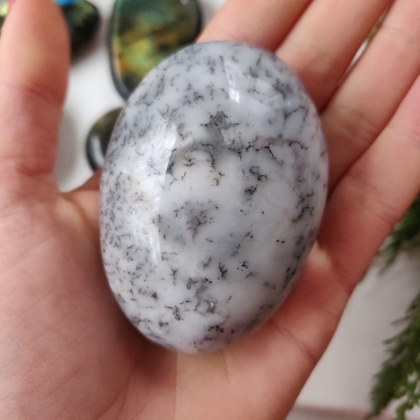 Dendritic Opal Palm Stone (#24)