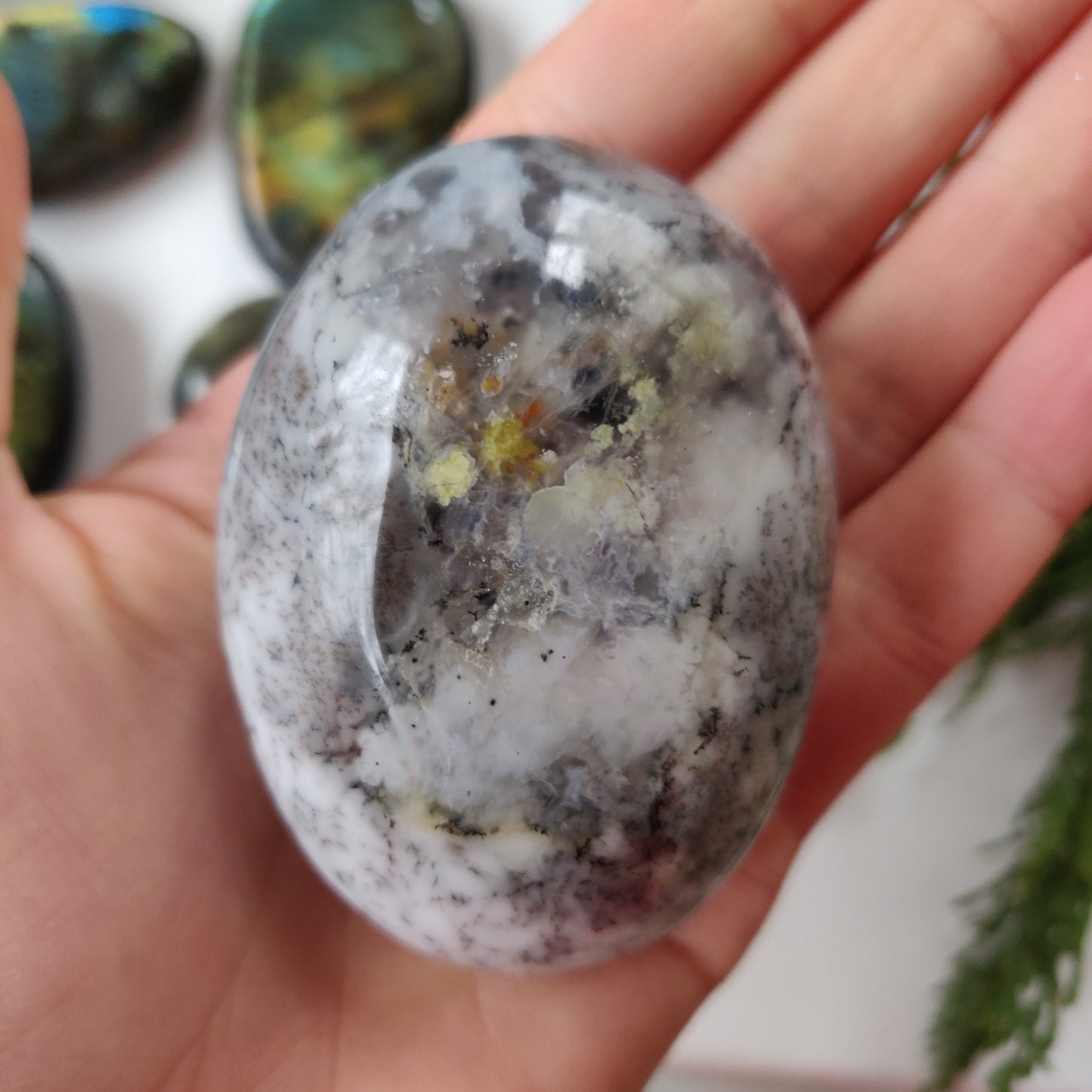 Dendritic Opal Palm Stone (#24)