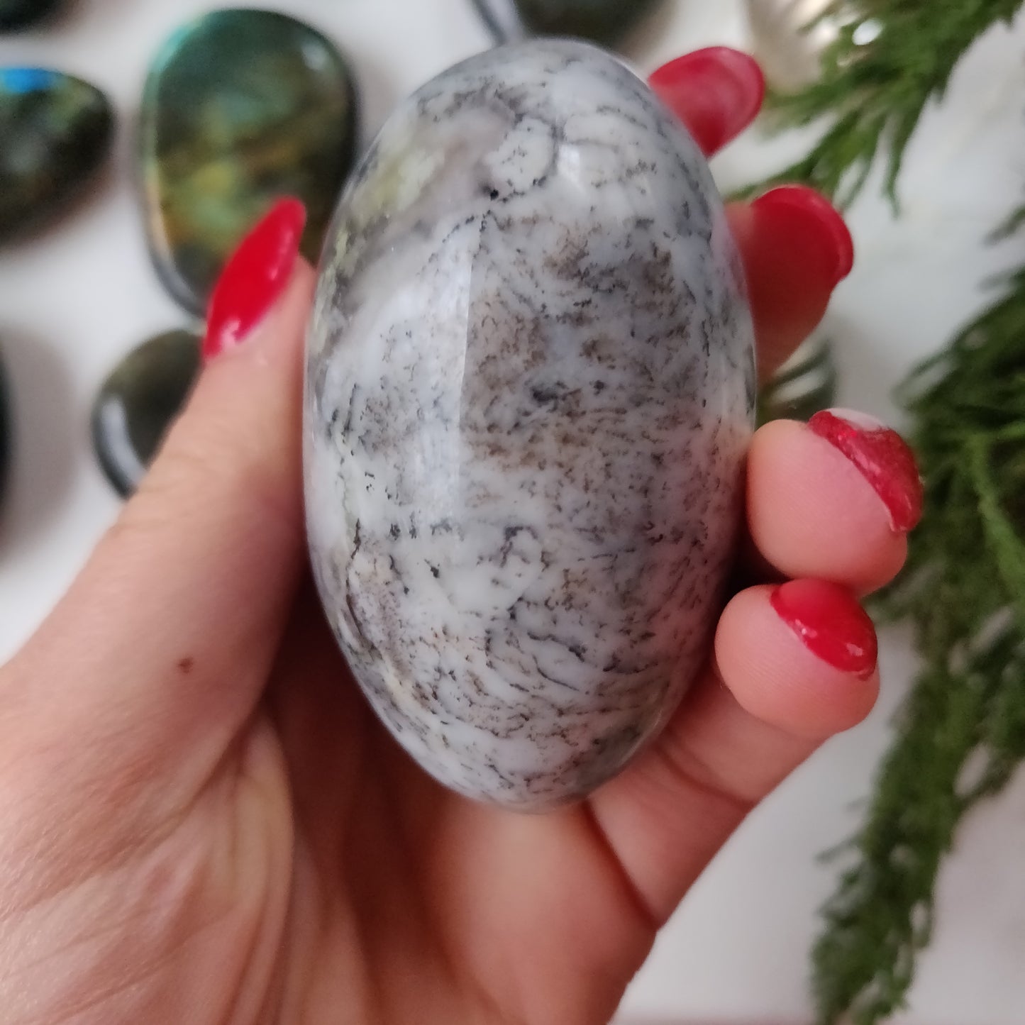 Dendritic Opal Palm Stone (#24)