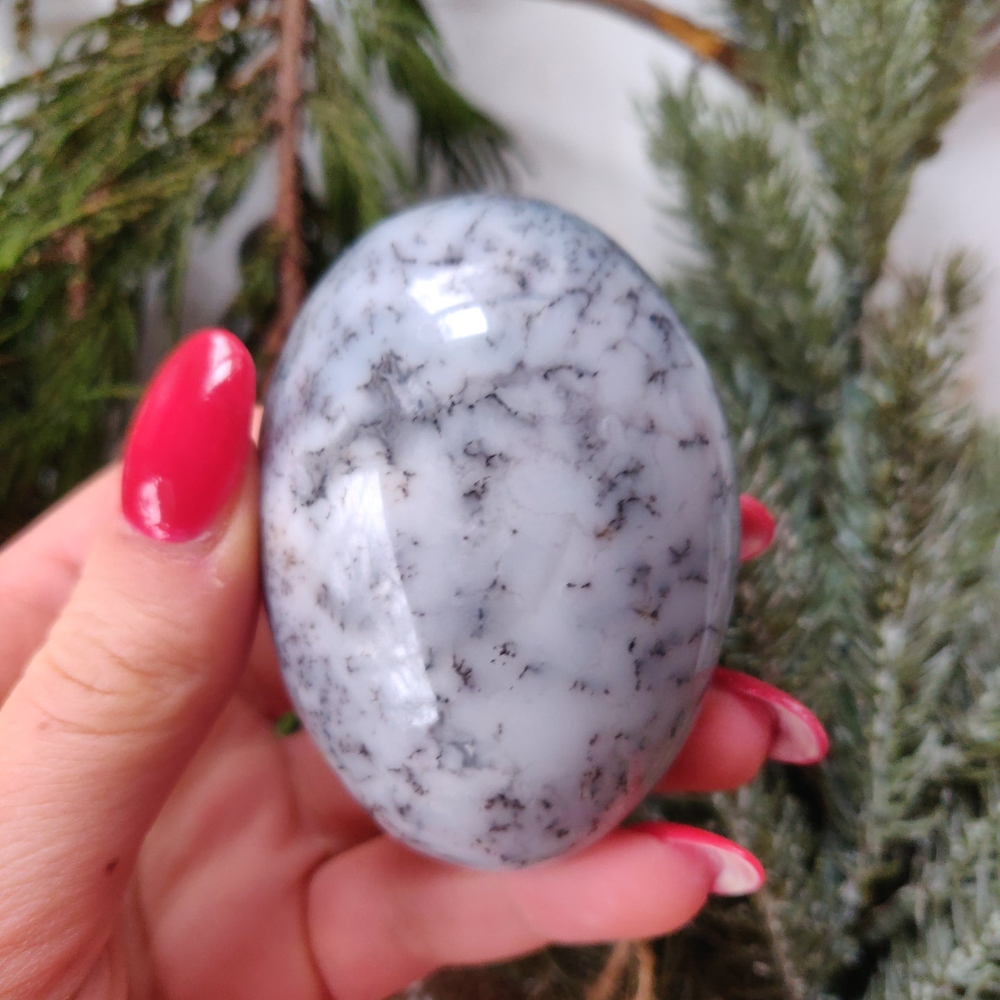 Dendritic Opal Palm Stone (#24)