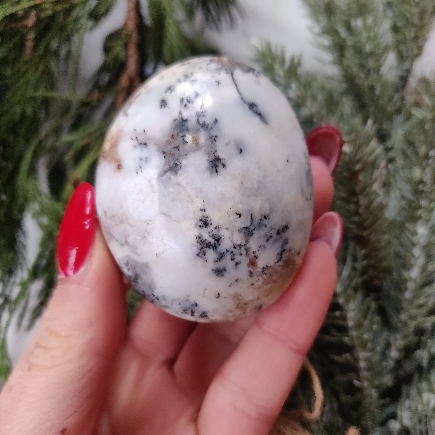 Dendritic Opal Palm Stone (#23)
