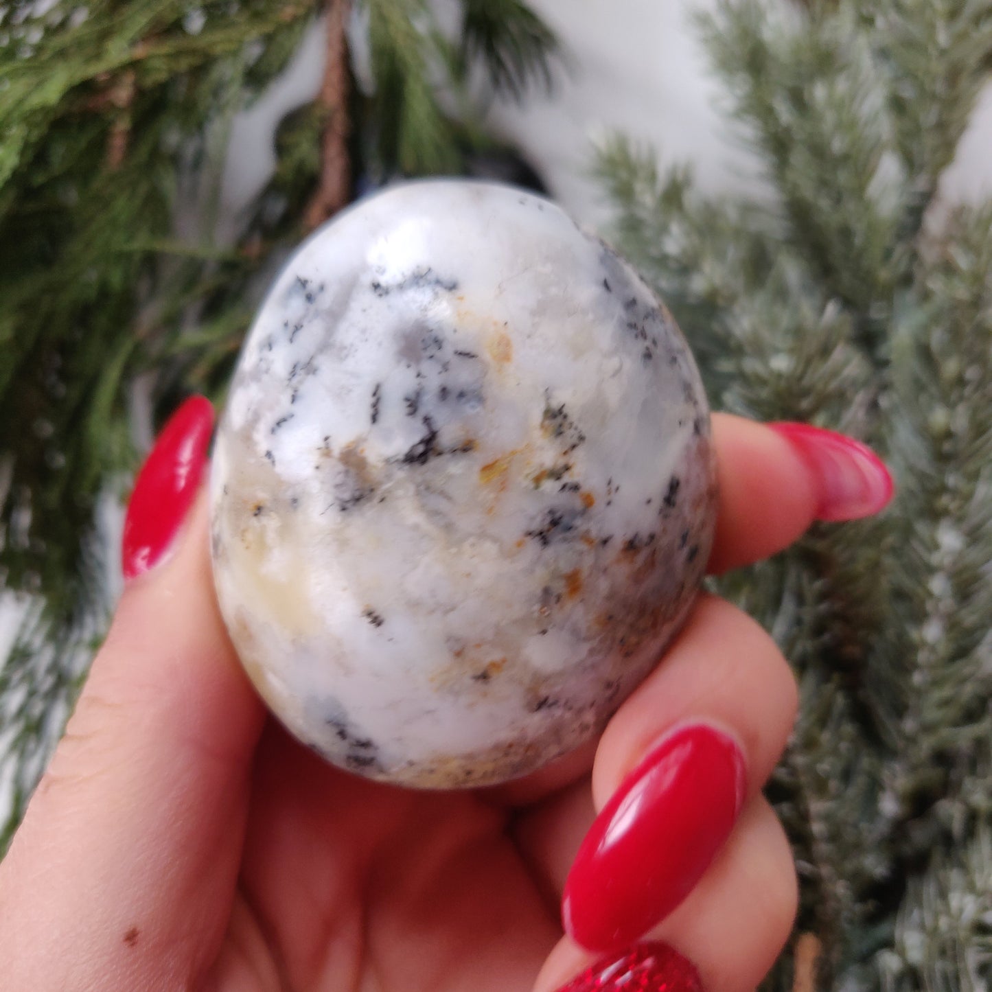 Dendritic Opal Palm Stone (#23)