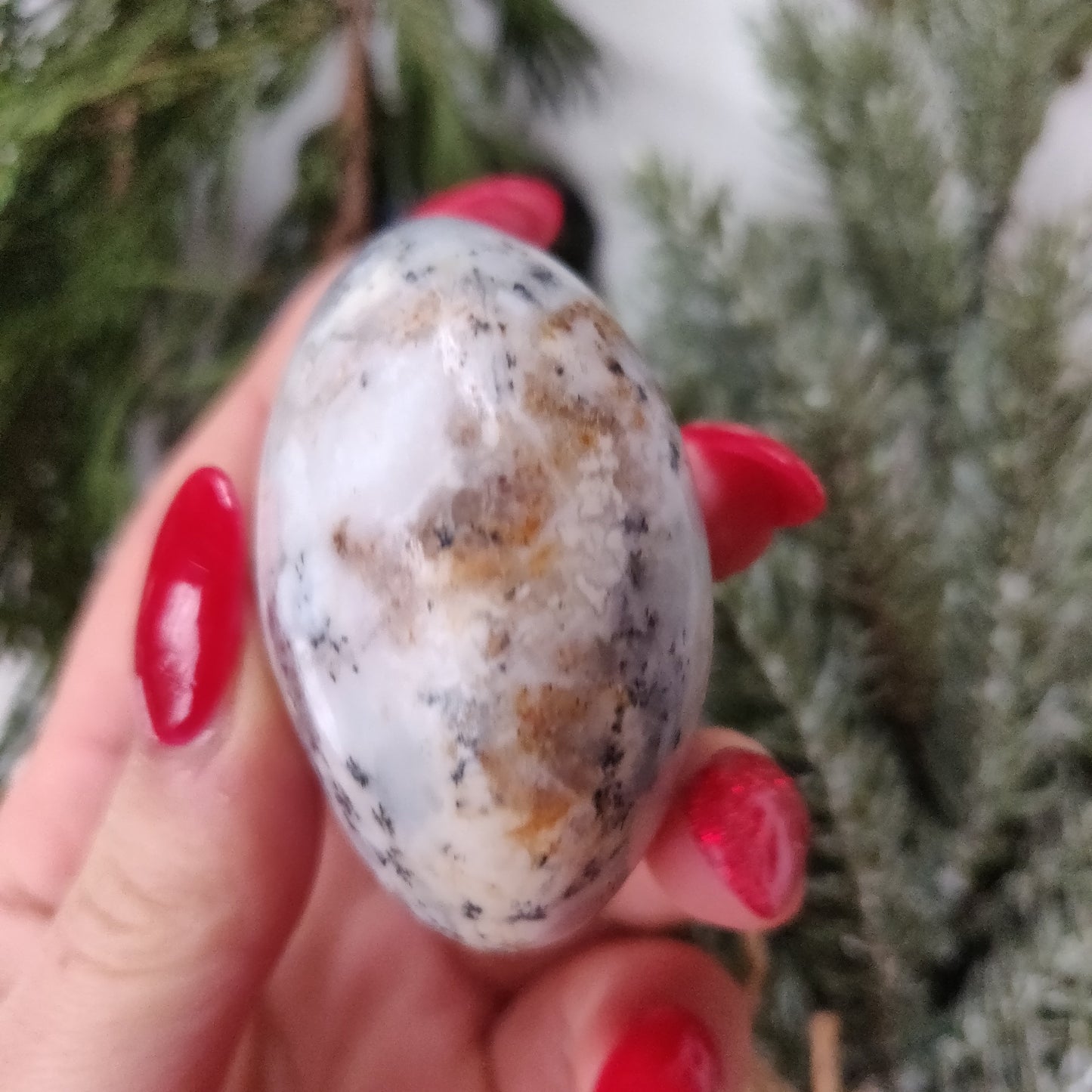 Dendritic Opal Palm Stone (#23)