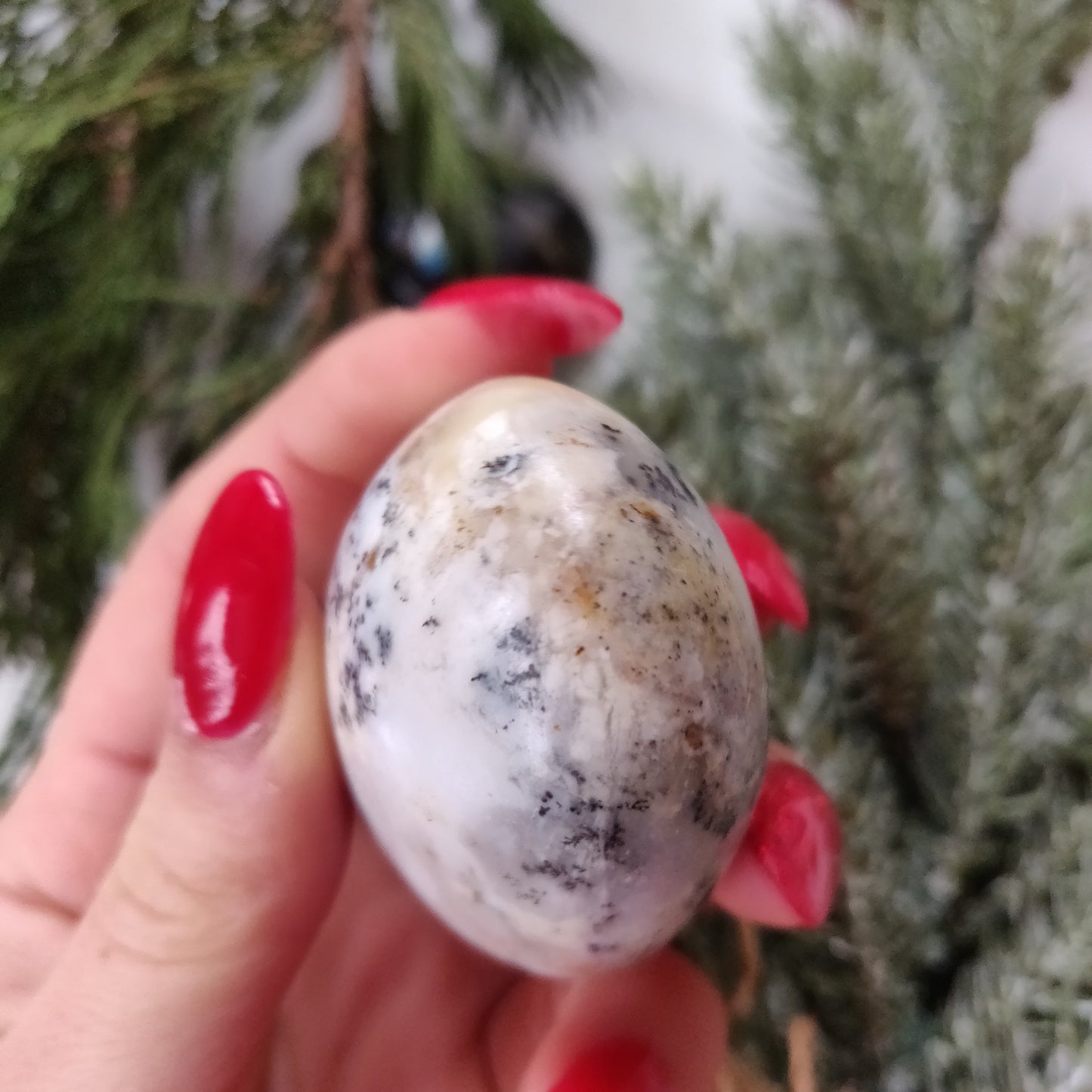 Dendritic Opal Palm Stone (#23)