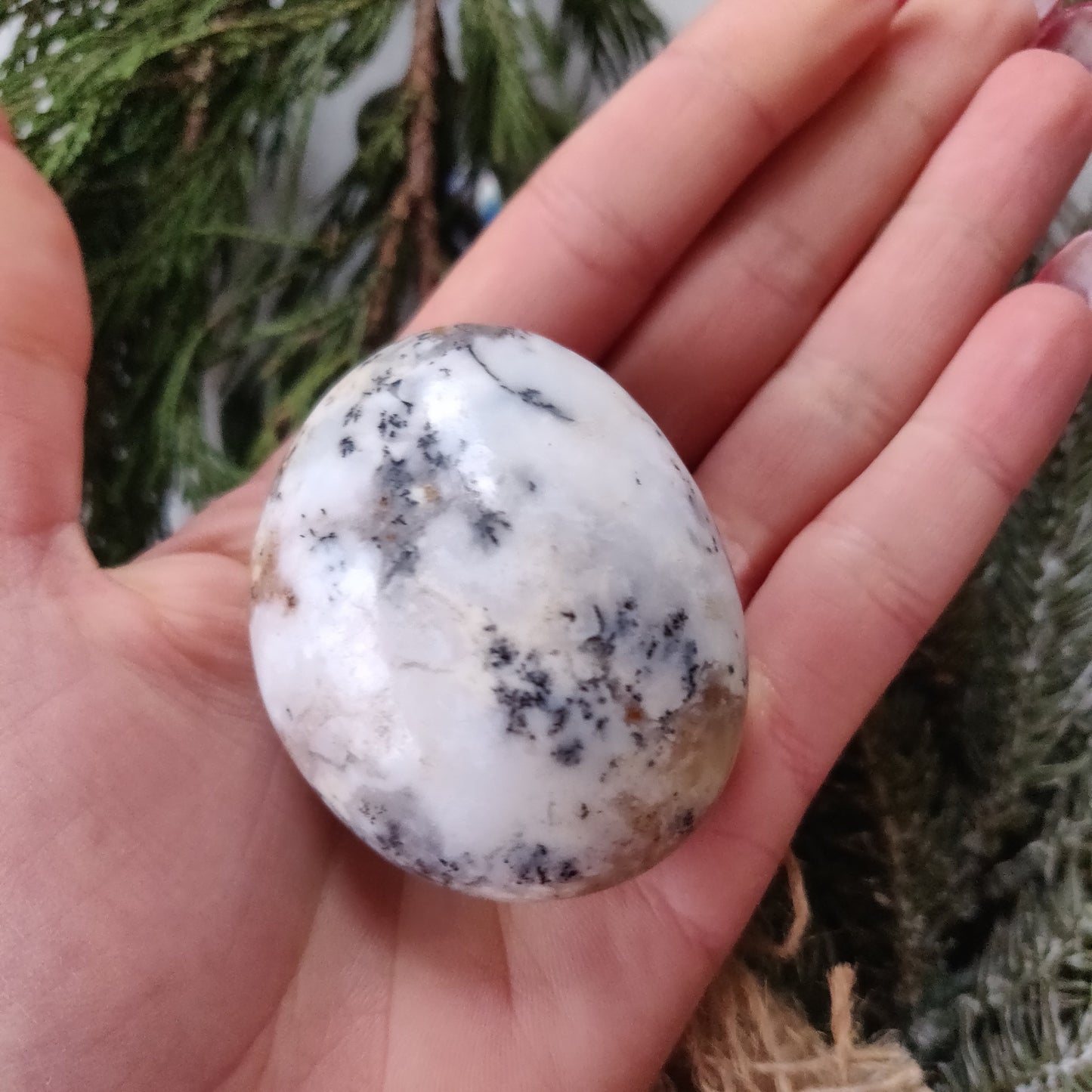 Dendritic Opal Palm Stone (#23)
