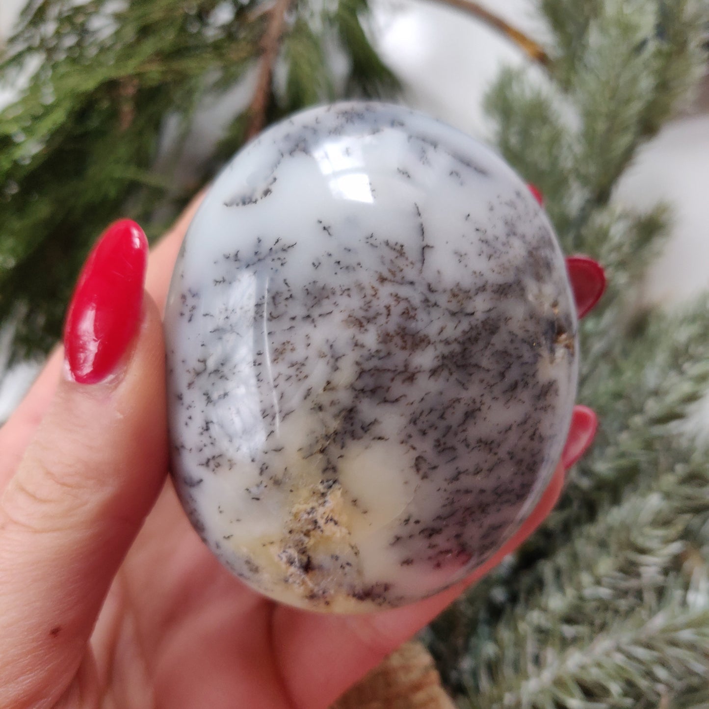 Dendritic Opal Palm Stone (#22)