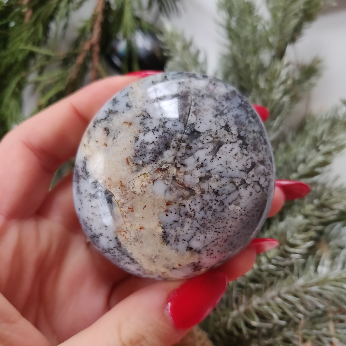 Dendritic Opal Palm Stone (#21)
