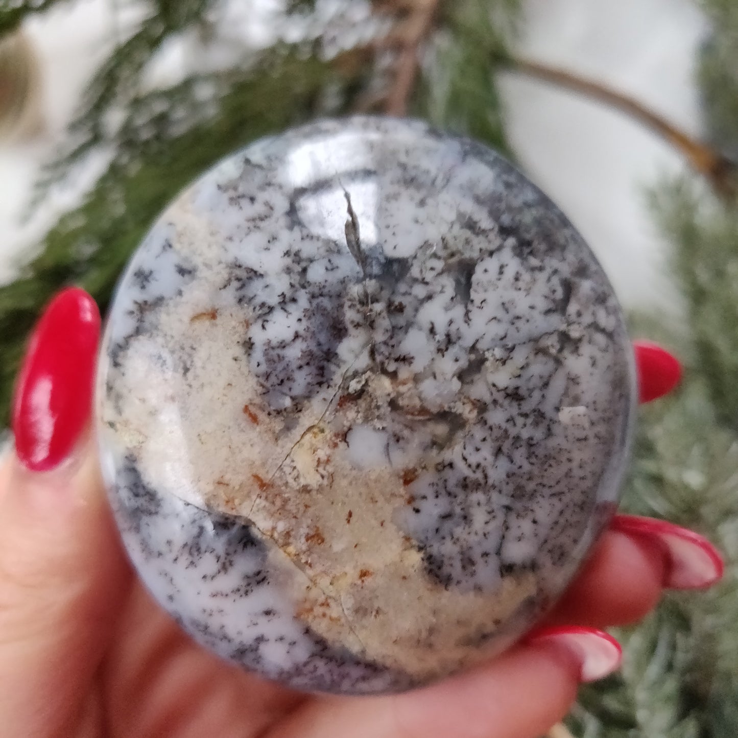 Dendritic Opal Palm Stone (#21)