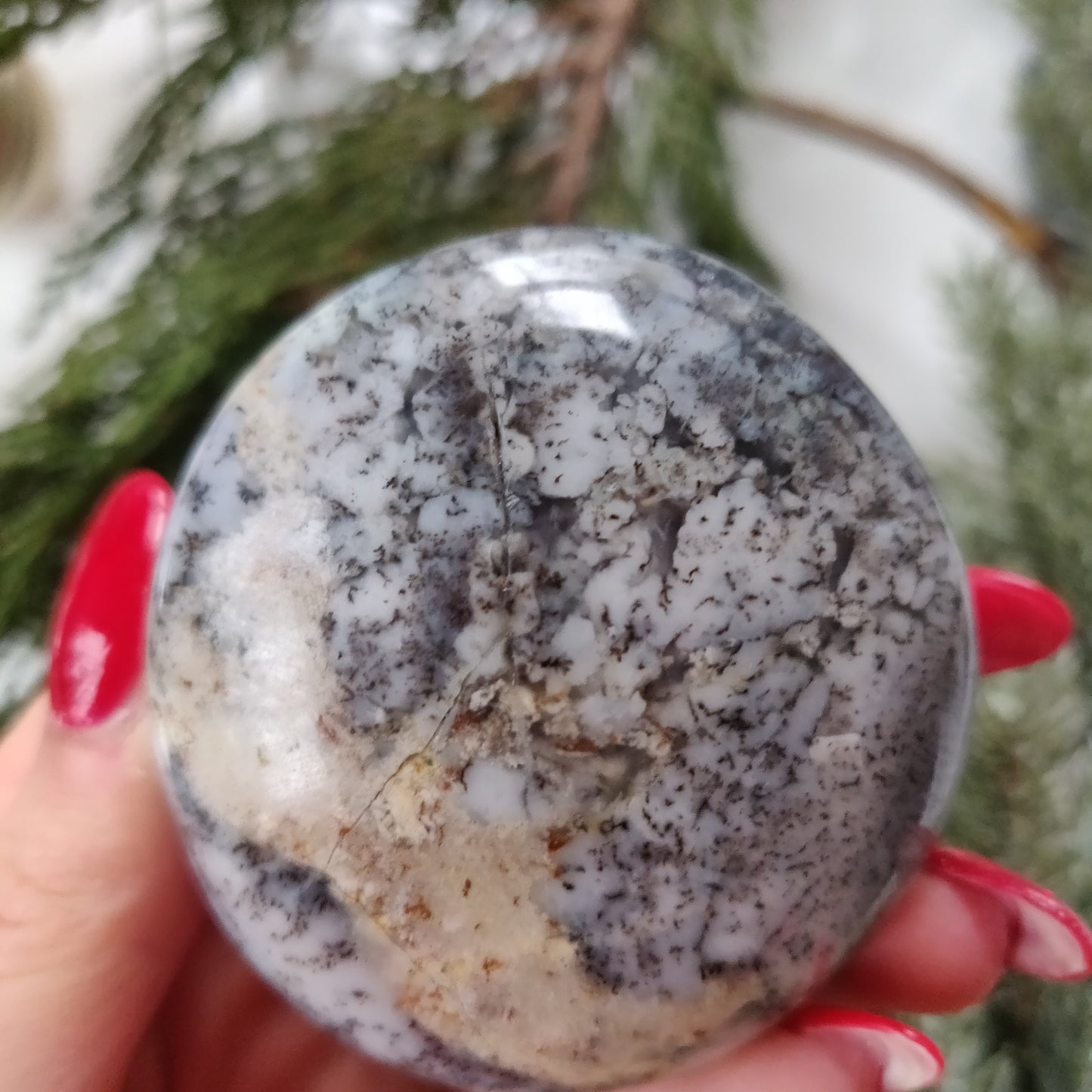 Dendritic Opal Palm Stone (#21)