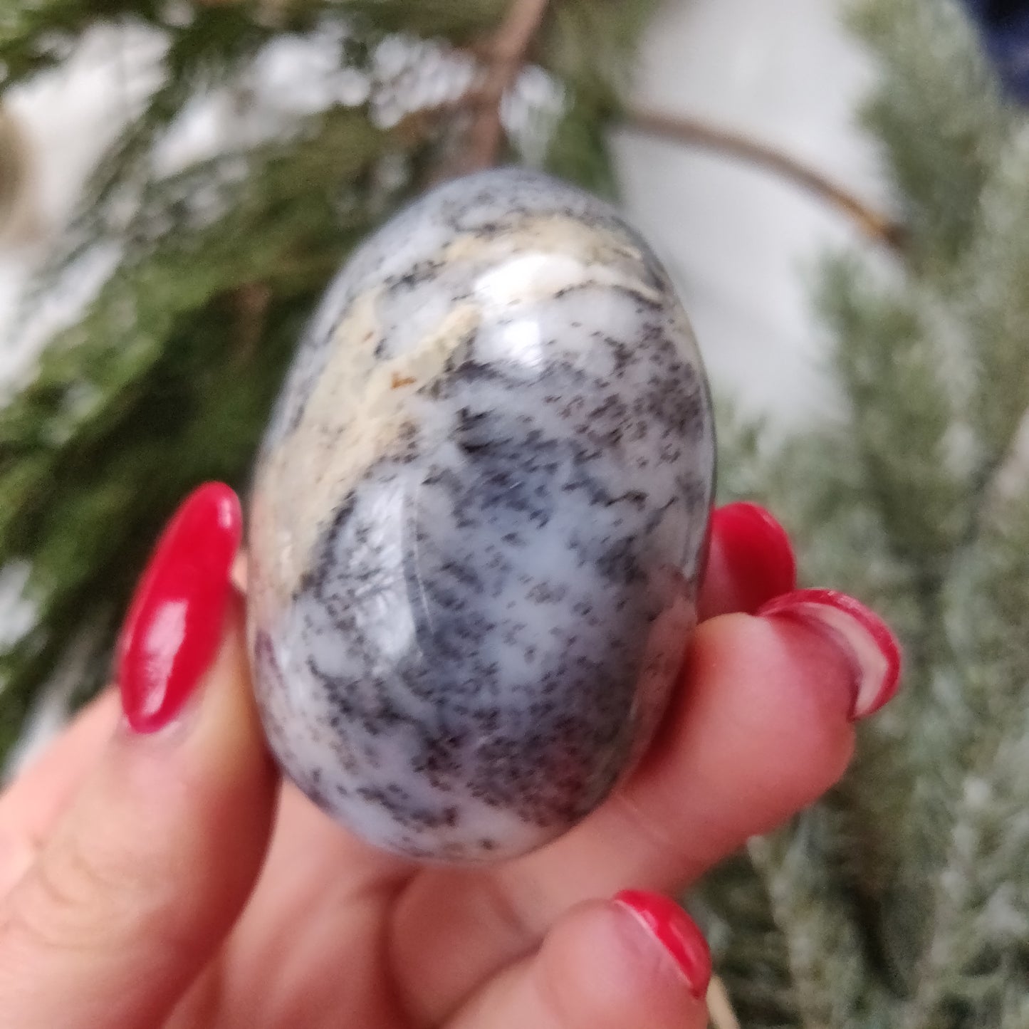 Dendritic Opal Palm Stone (#21)