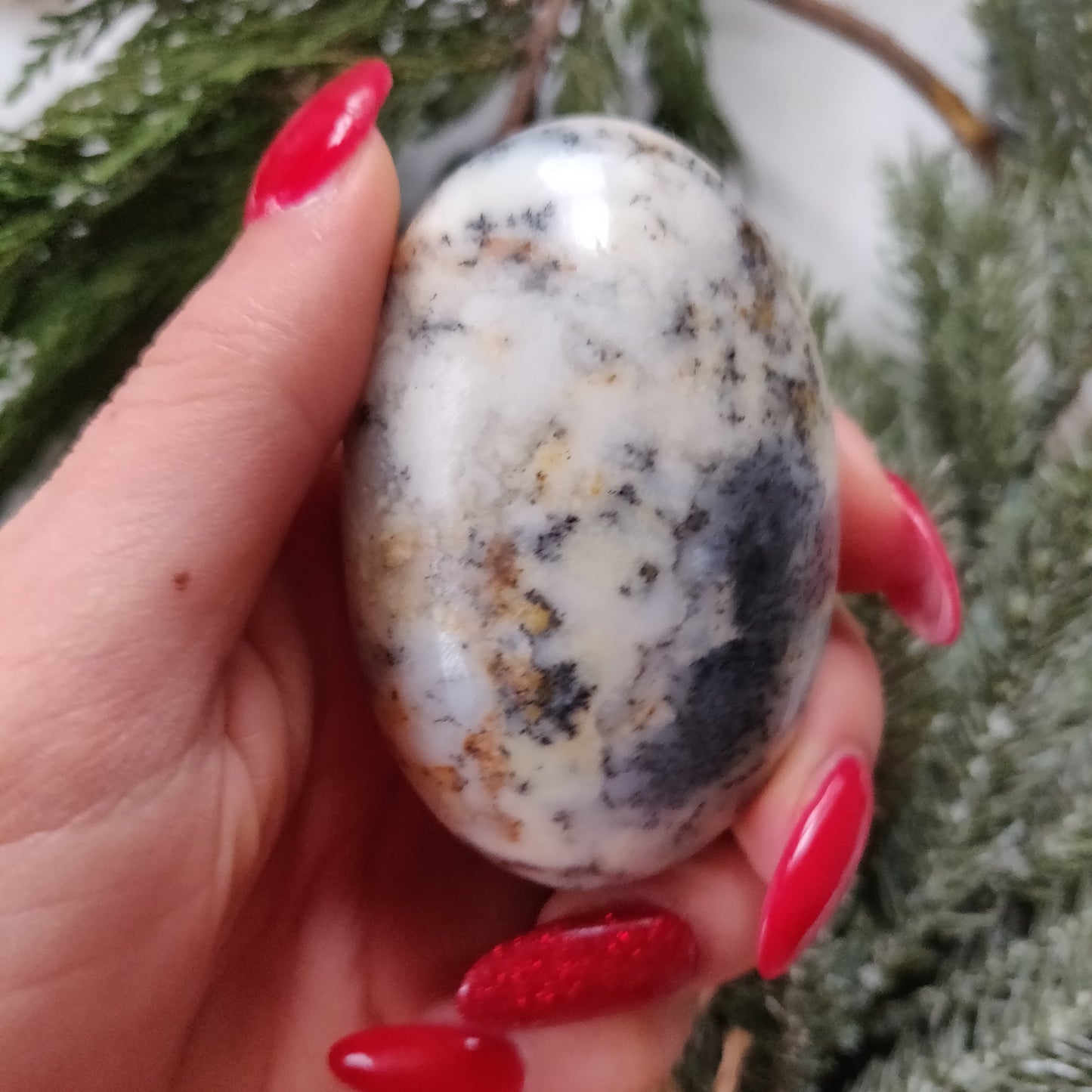 Dendritic Opal Palm Stone (#20)