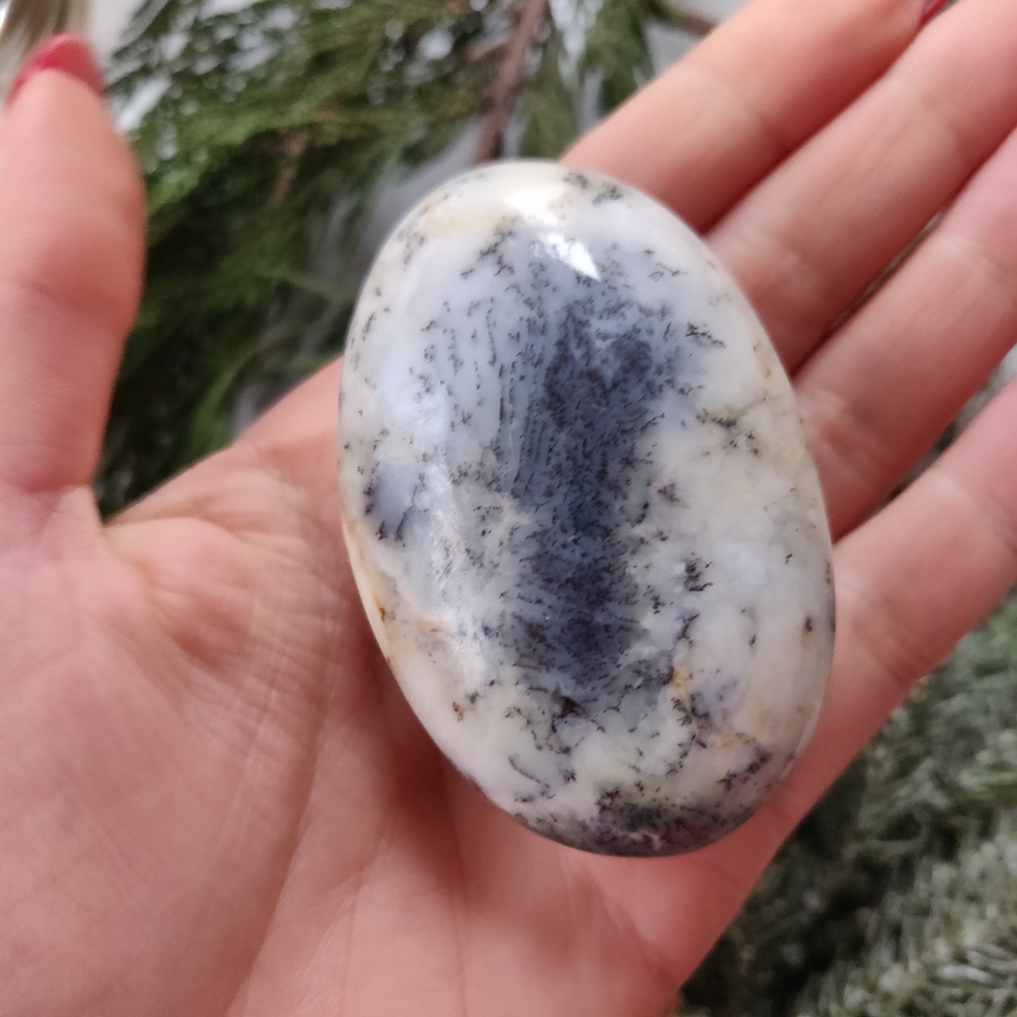 Dendritic Opal Palm Stone (#20)