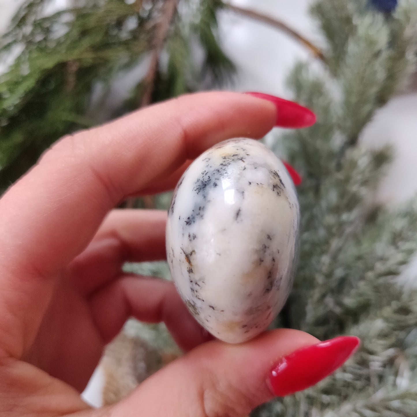 Dendritic Opal Palm Stone (#20)