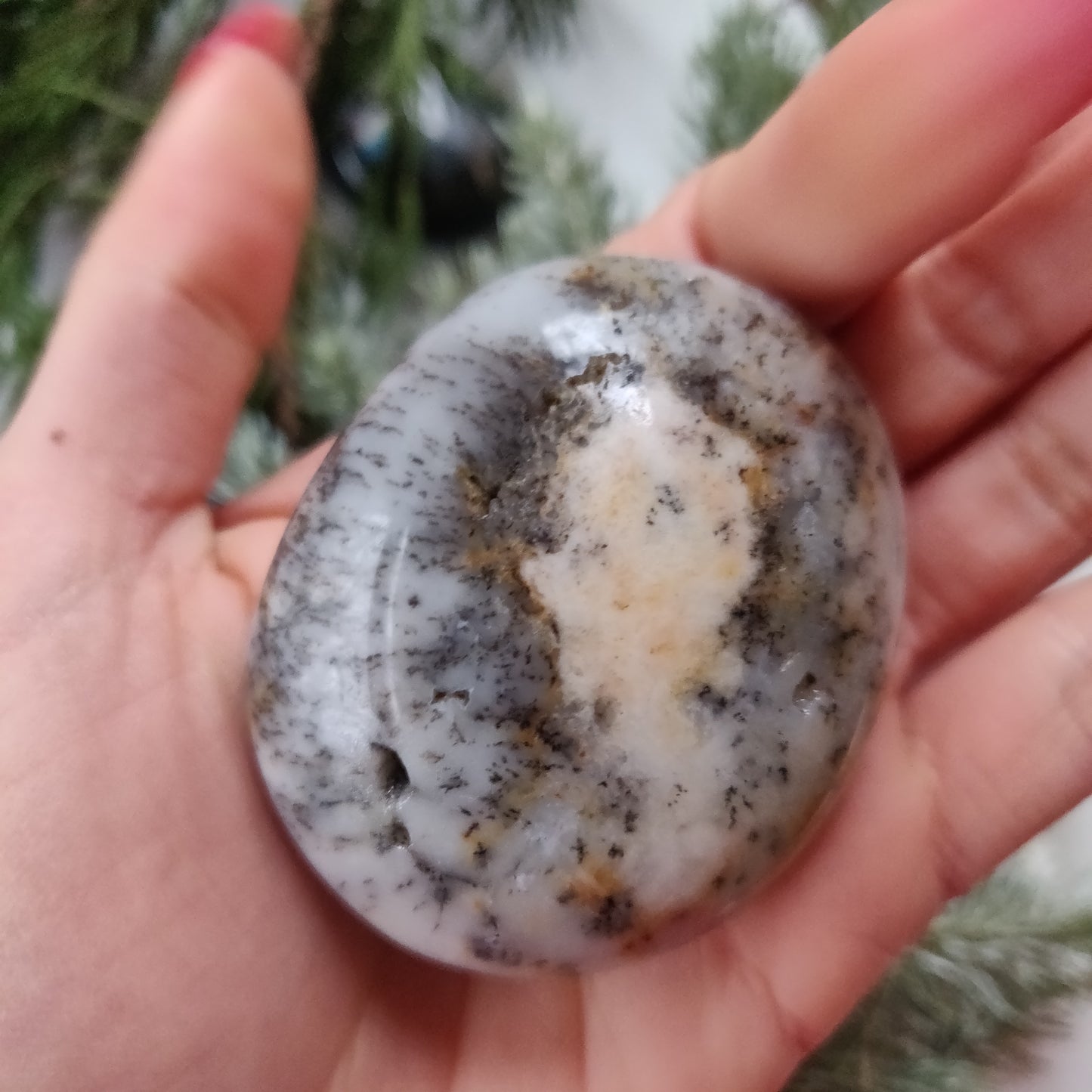 Dendritic Opal Palm Stone (#19)