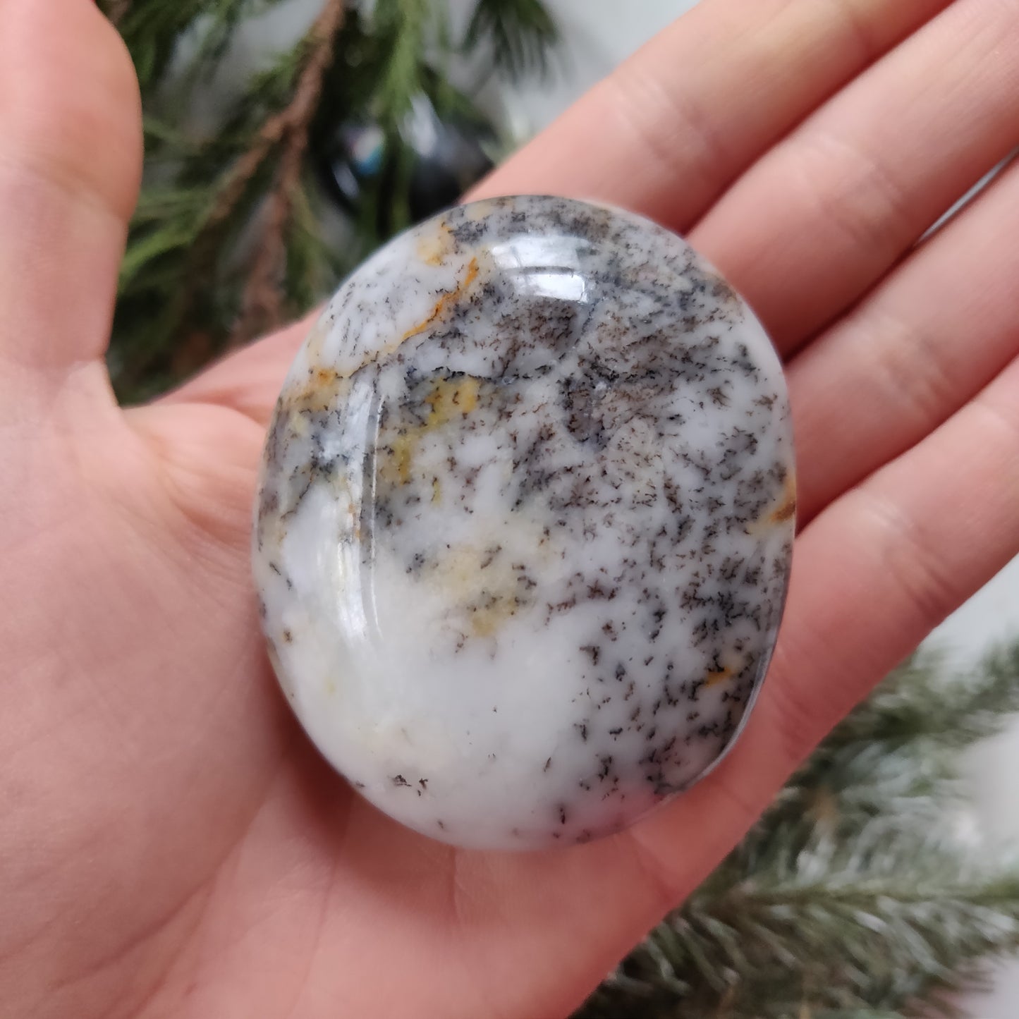 Dendritic Opal Palm Stone (#19)