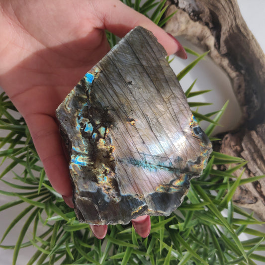 Labradorite Slab - Self-Standing (#49) - Simply Affinity