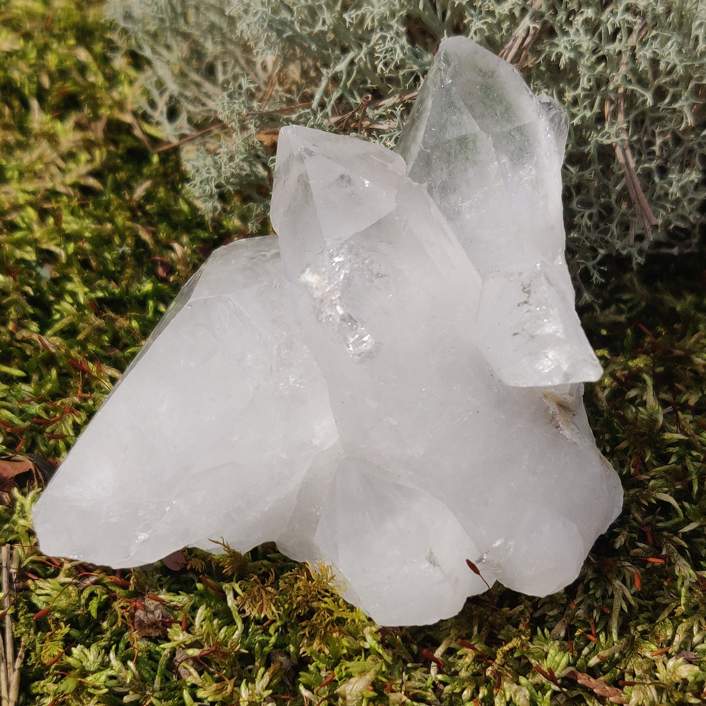 Raw Clear Quartz Cluster with Green Chlorite Inclusions (#A2)