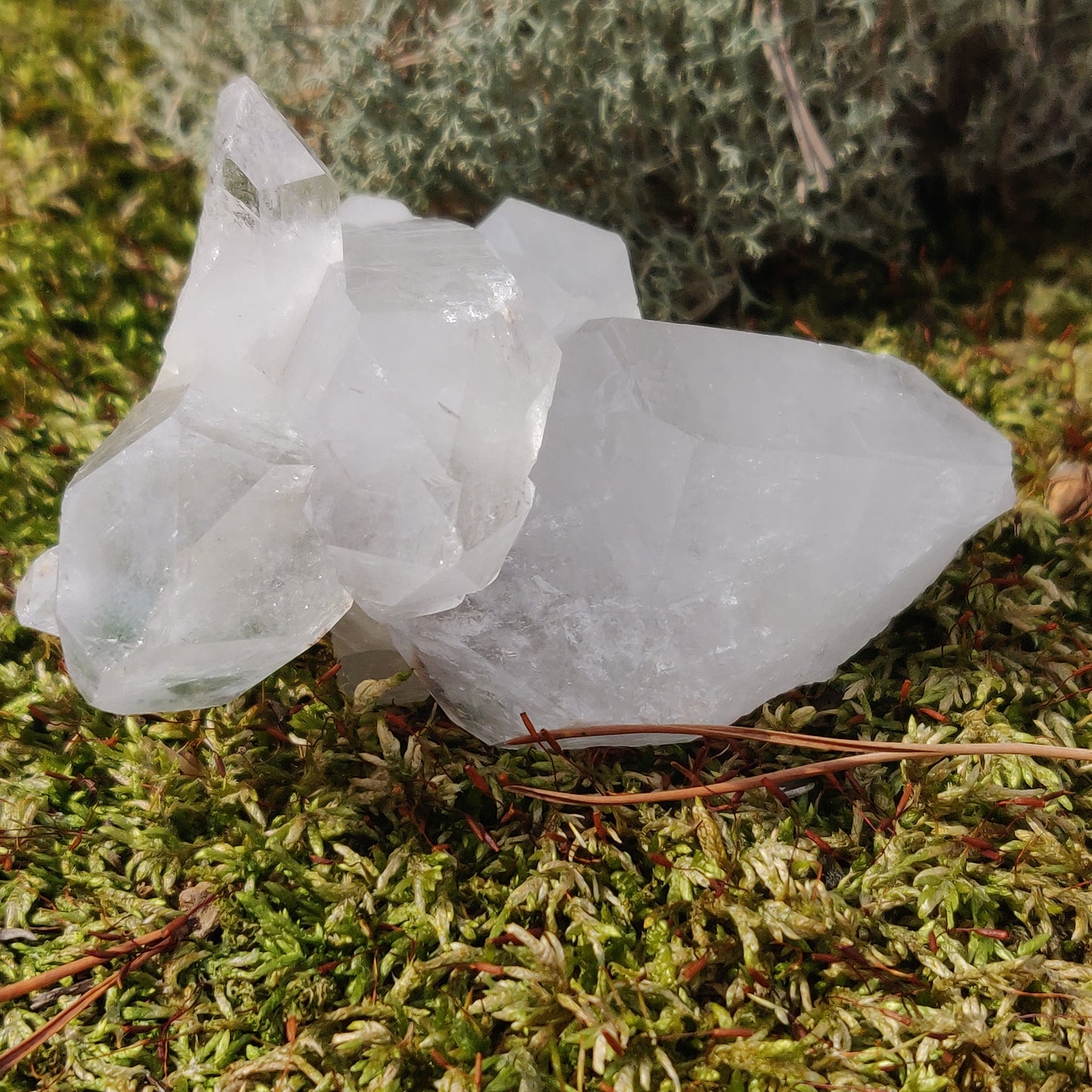 Raw Clear Quartz Cluster with Green Chlorite Inclusions (#A2)
