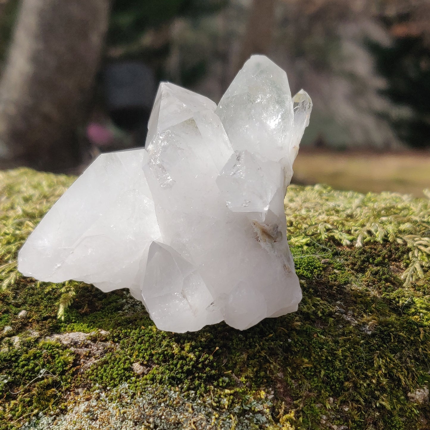 Raw Clear Quartz Cluster with Green Chlorite Inclusions (#A2)
