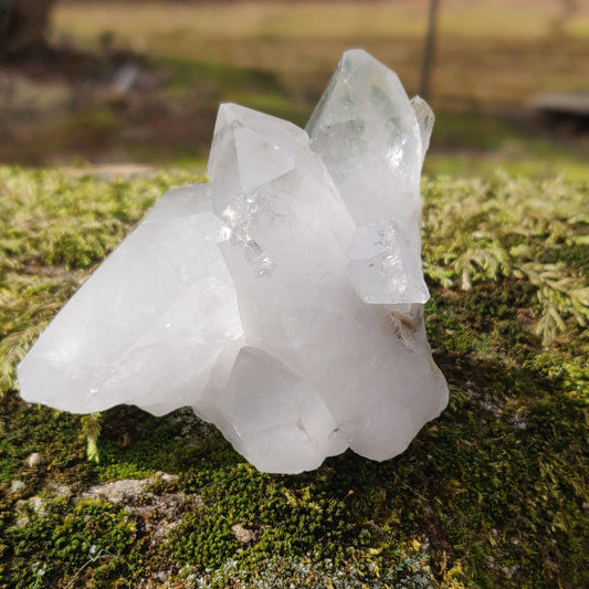 Raw Clear Quartz Cluster with Green Chlorite Inclusions (#A2)