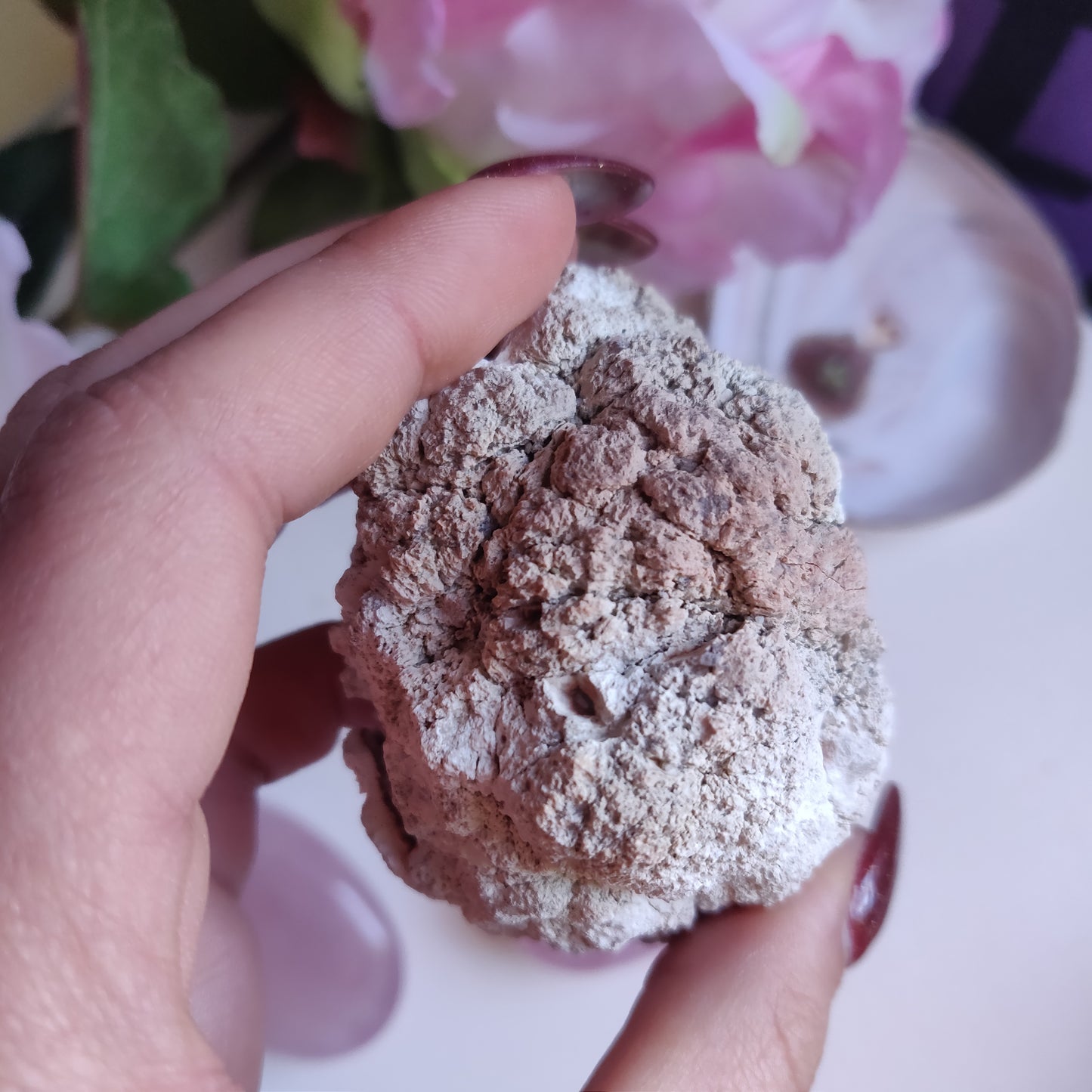 Pink Amethyst Geode (#9)