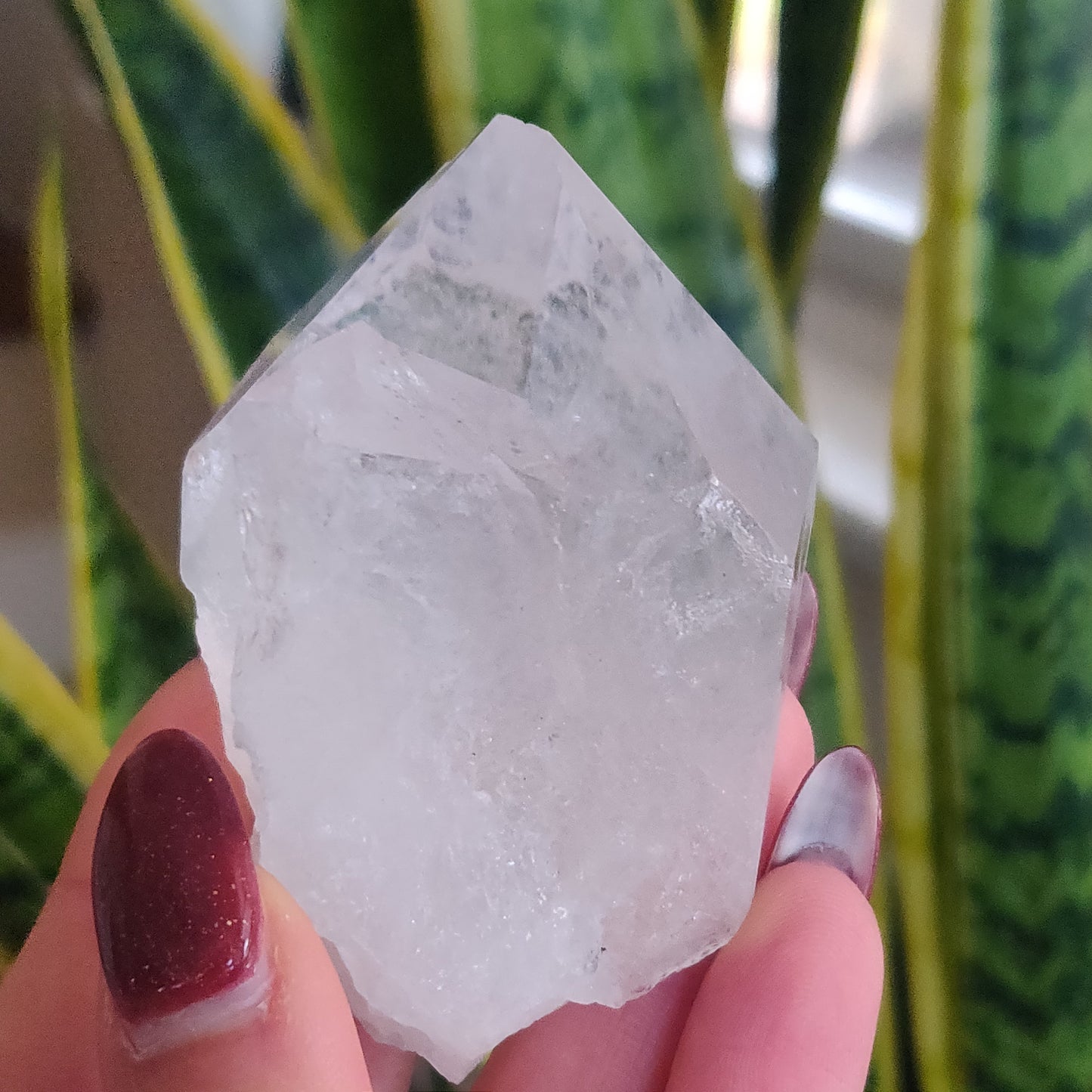 Raw Clear Quartz Point (#A6)