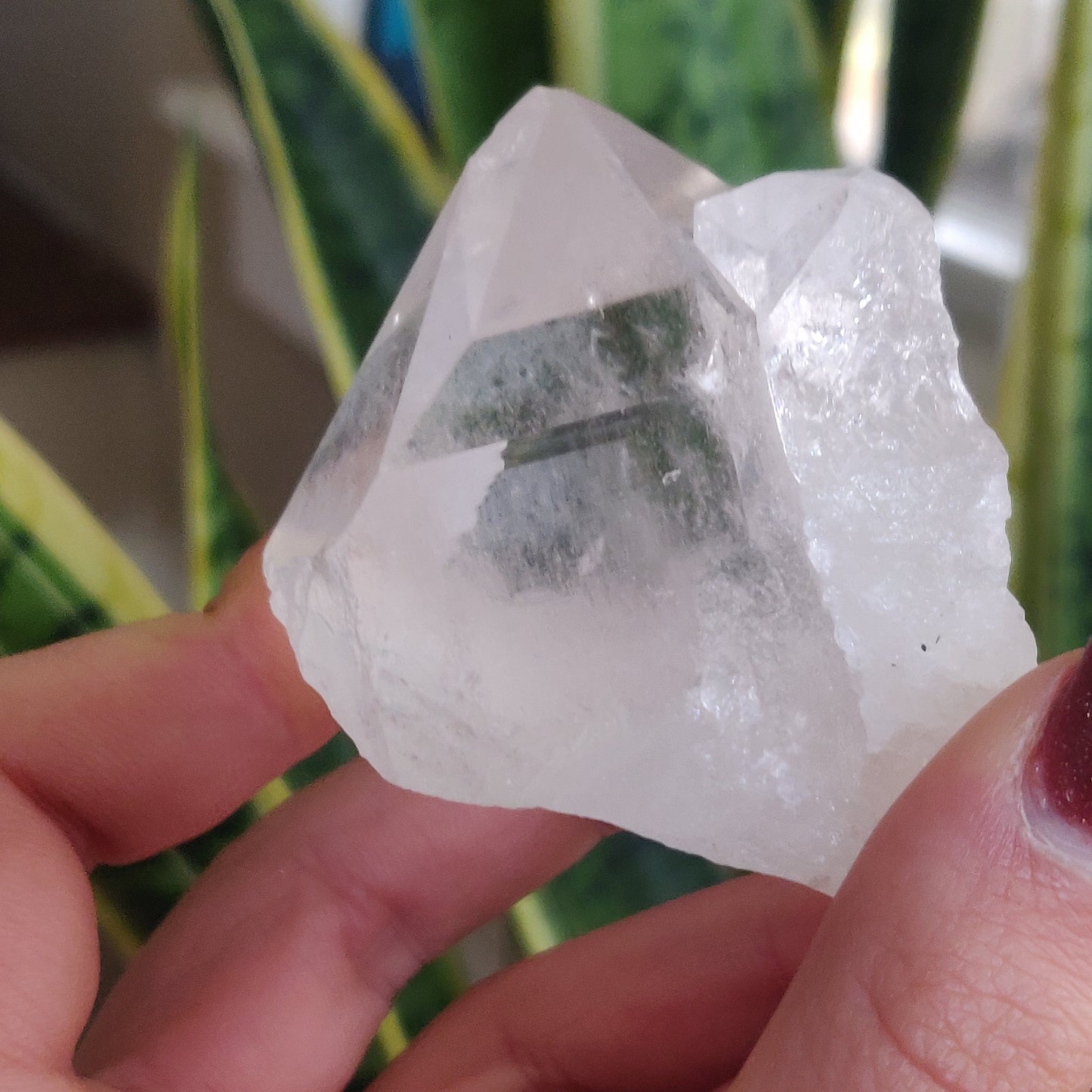 Raw Clear Quartz Point (#A6)