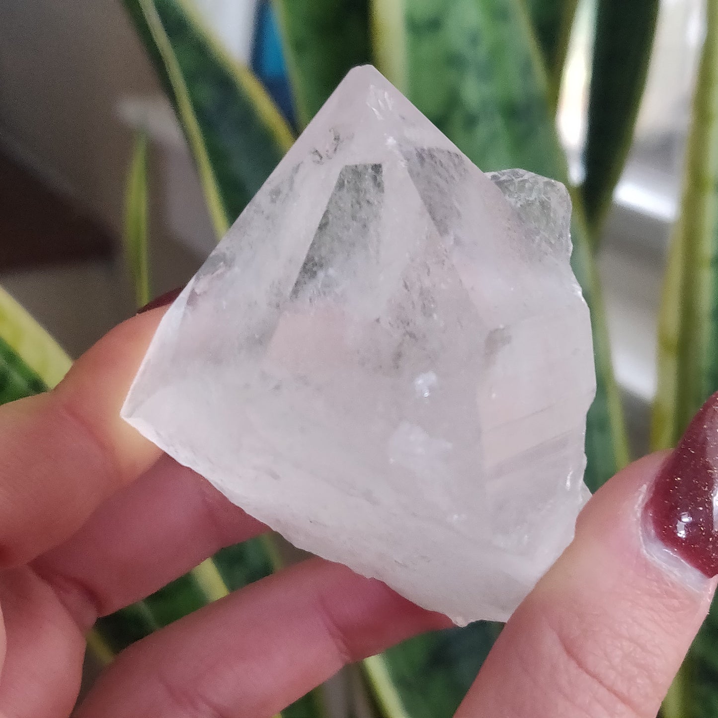 Raw Clear Quartz Point (#A6)