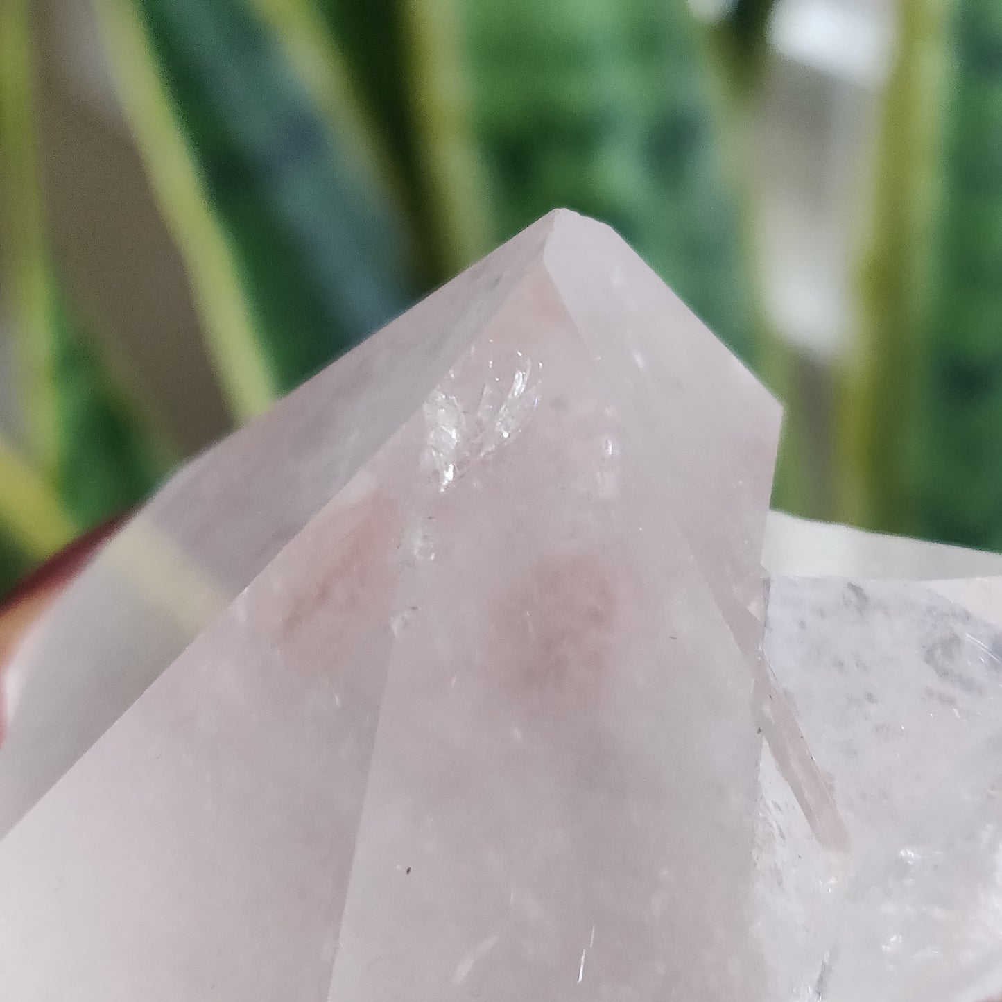 Raw Clear Quartz Point (#A6)