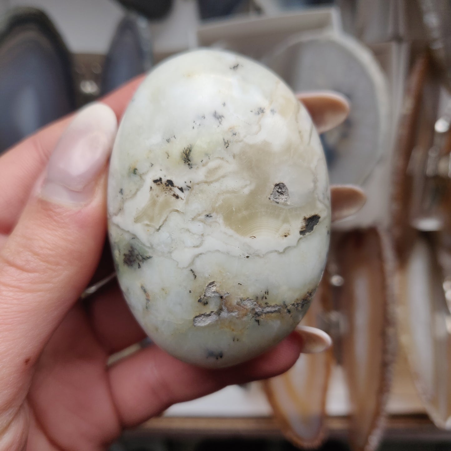 Dendritic Opal Palm Stone (#31)
