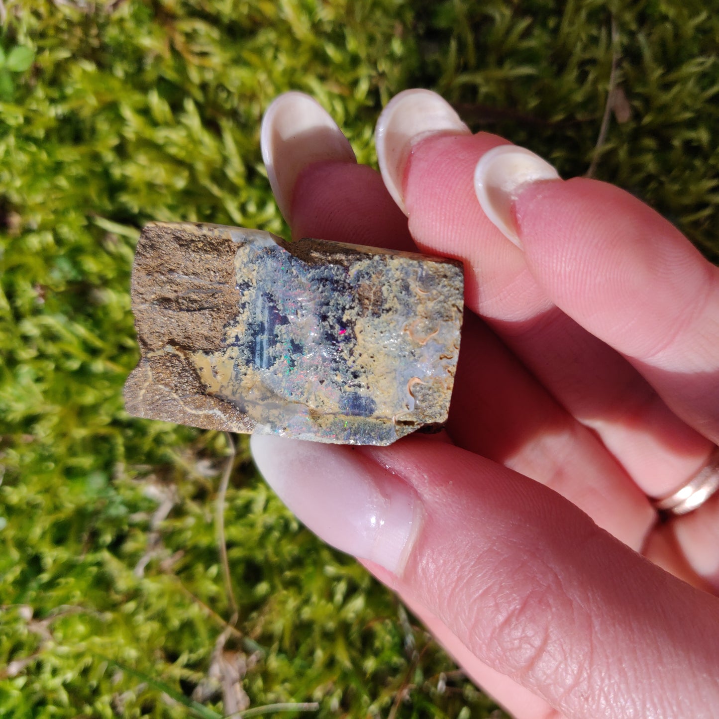 Australian Boulder Opal Rough Specimen (#5) - Simply Affinity
