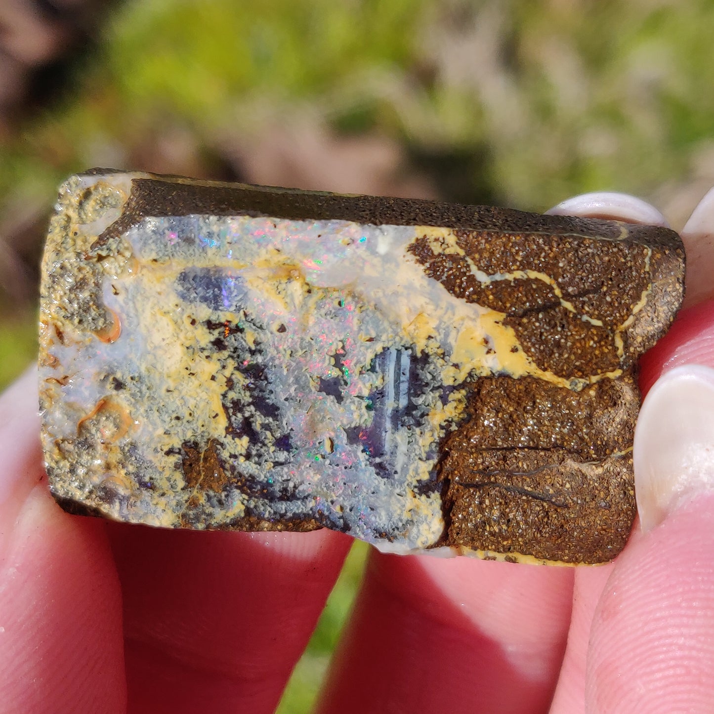 Australian Boulder Opal Rough Specimen (#5) - Simply Affinity