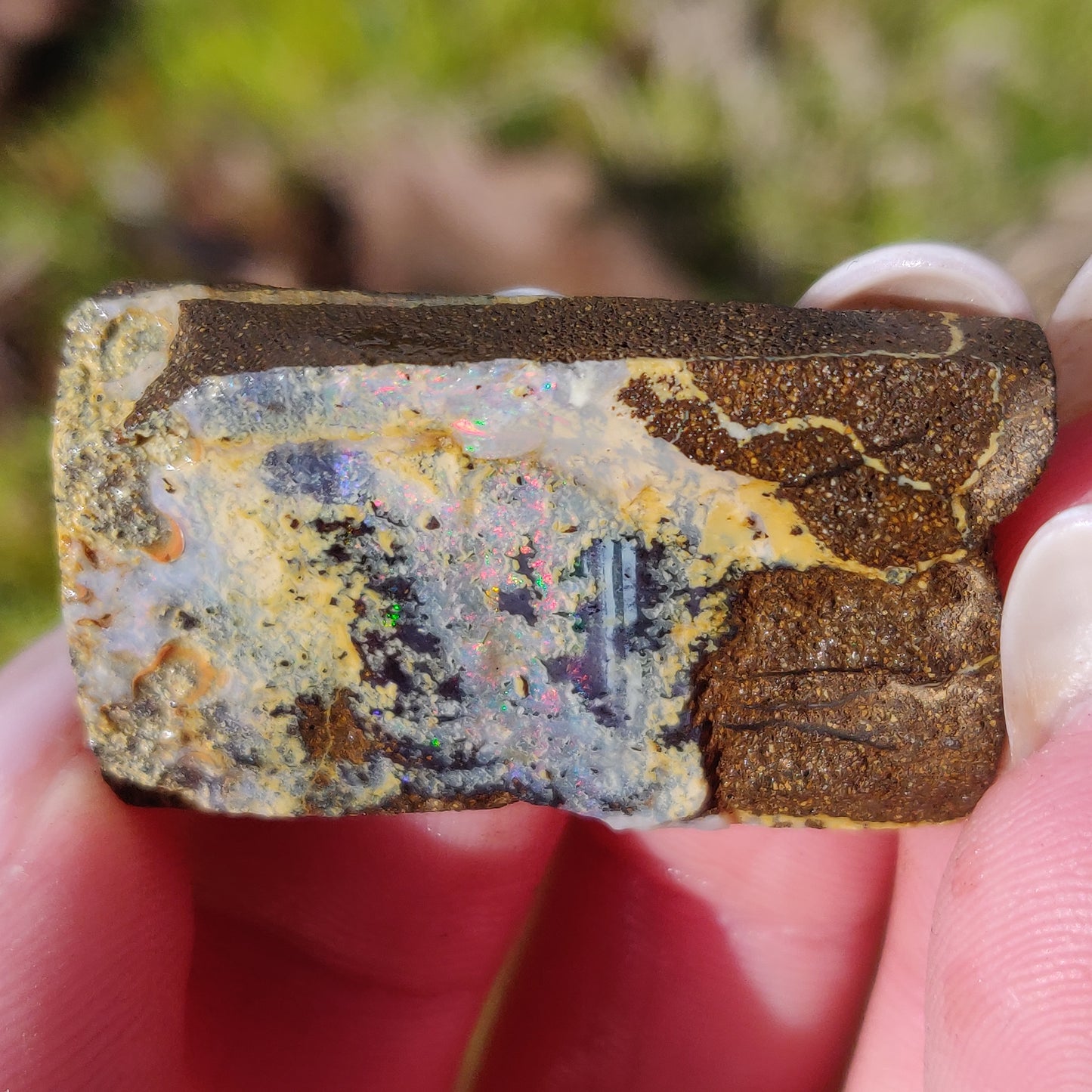 Australian Boulder Opal Rough Specimen (#5) - Simply Affinity