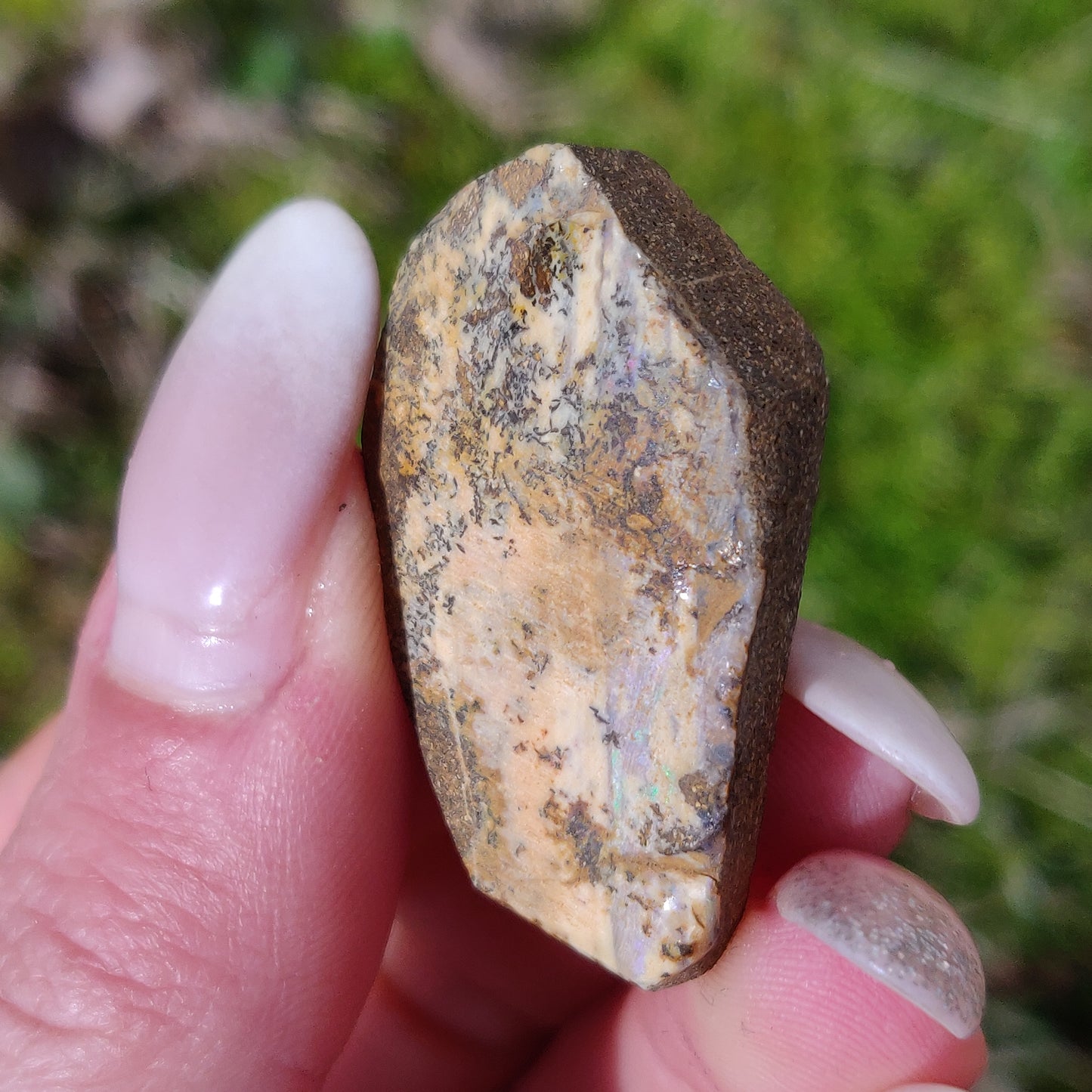 Australian Boulder Opal Rough Specimen with Dendritic Patterns (#1) - Simply Affinity