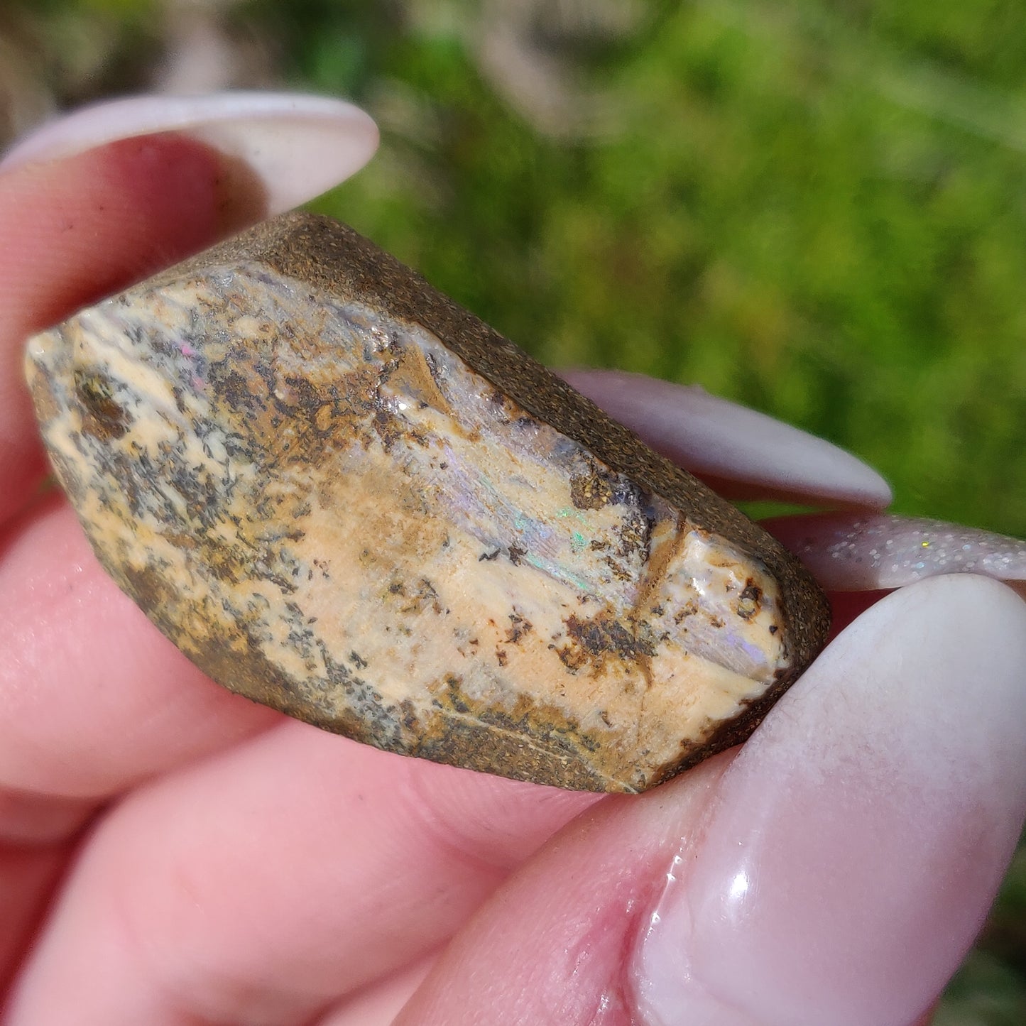 Australian Boulder Opal Rough Specimen with Dendritic Patterns (#1) - Simply Affinity