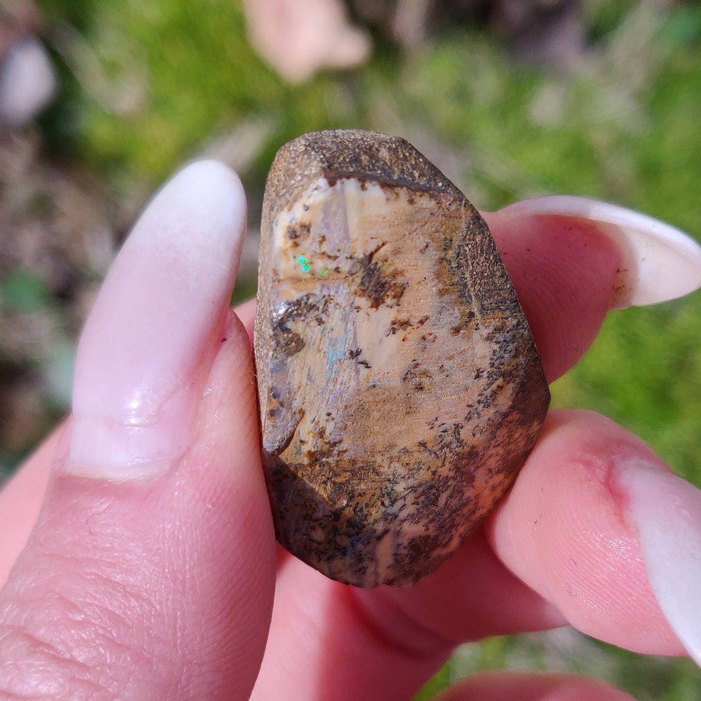 Australian Boulder Opal Rough Specimen with Dendritic Patterns (#1) - Simply Affinity