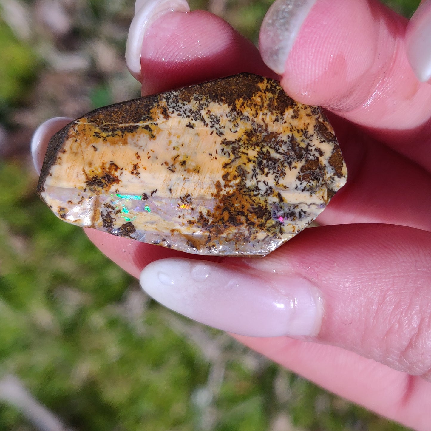 Australian Boulder Opal Rough Specimen with Dendritic Patterns (#1) - Simply Affinity