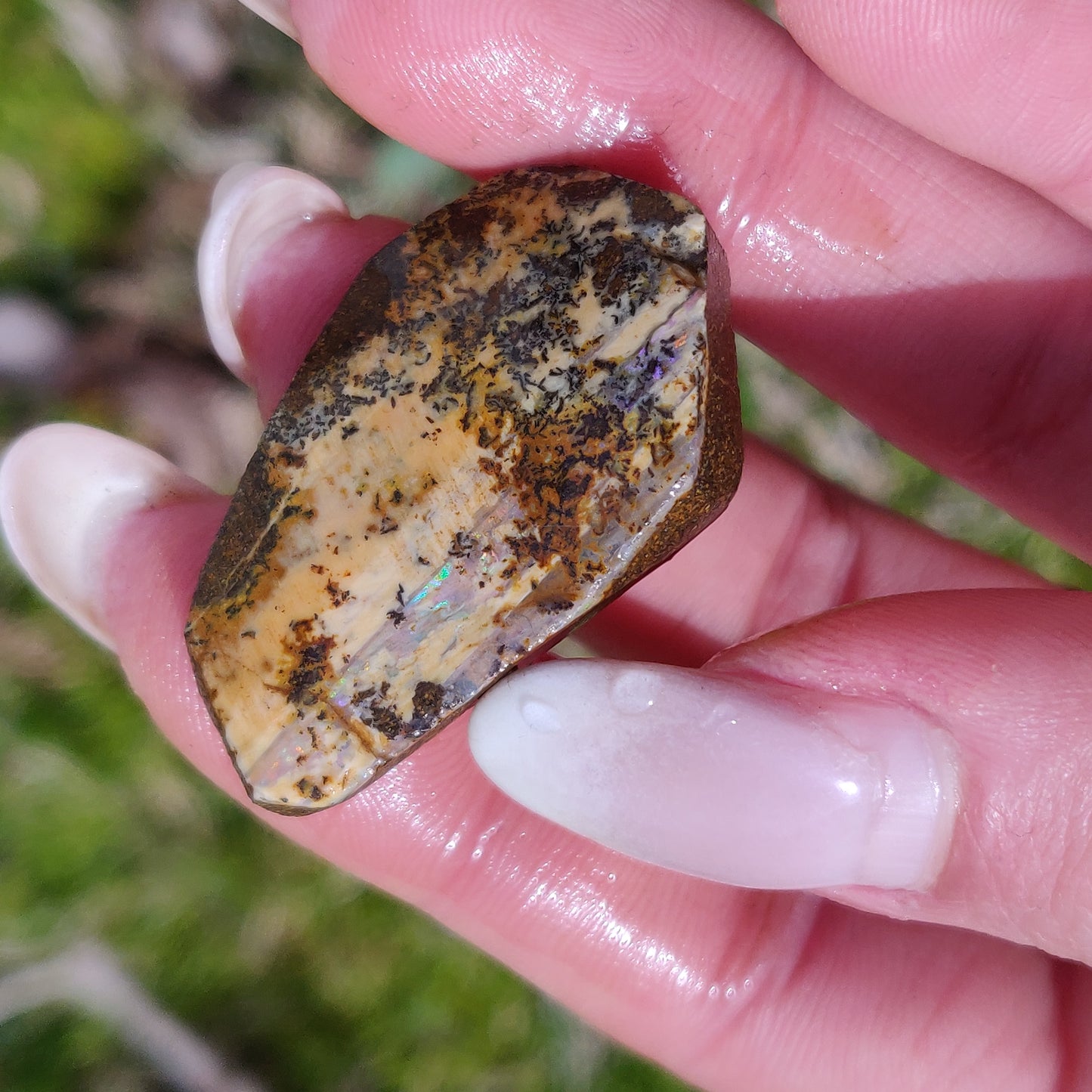 Australian Boulder Opal Rough Specimen with Dendritic Patterns (#1) - Simply Affinity