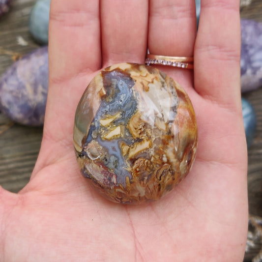 Ibis Jasper Palm Stone (#8)