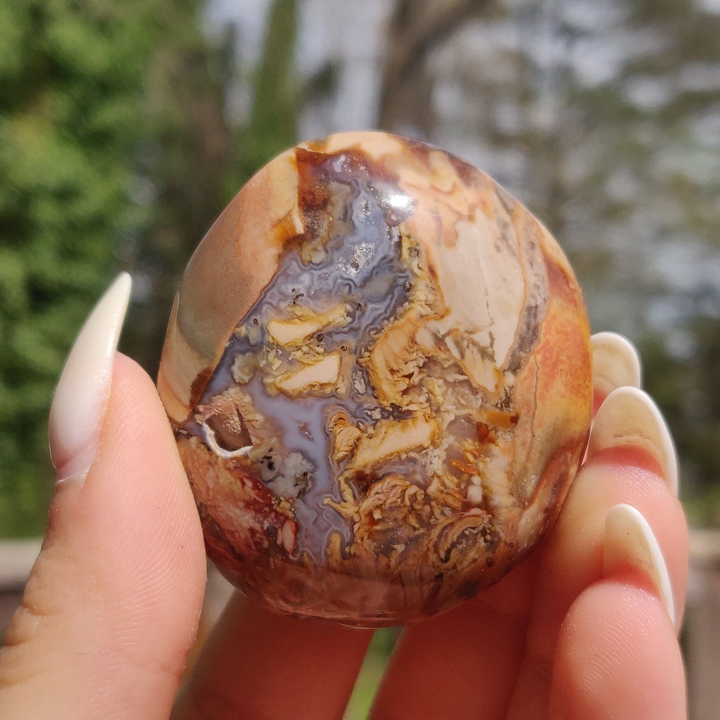 Ibis Jasper Palm Stone (#8)