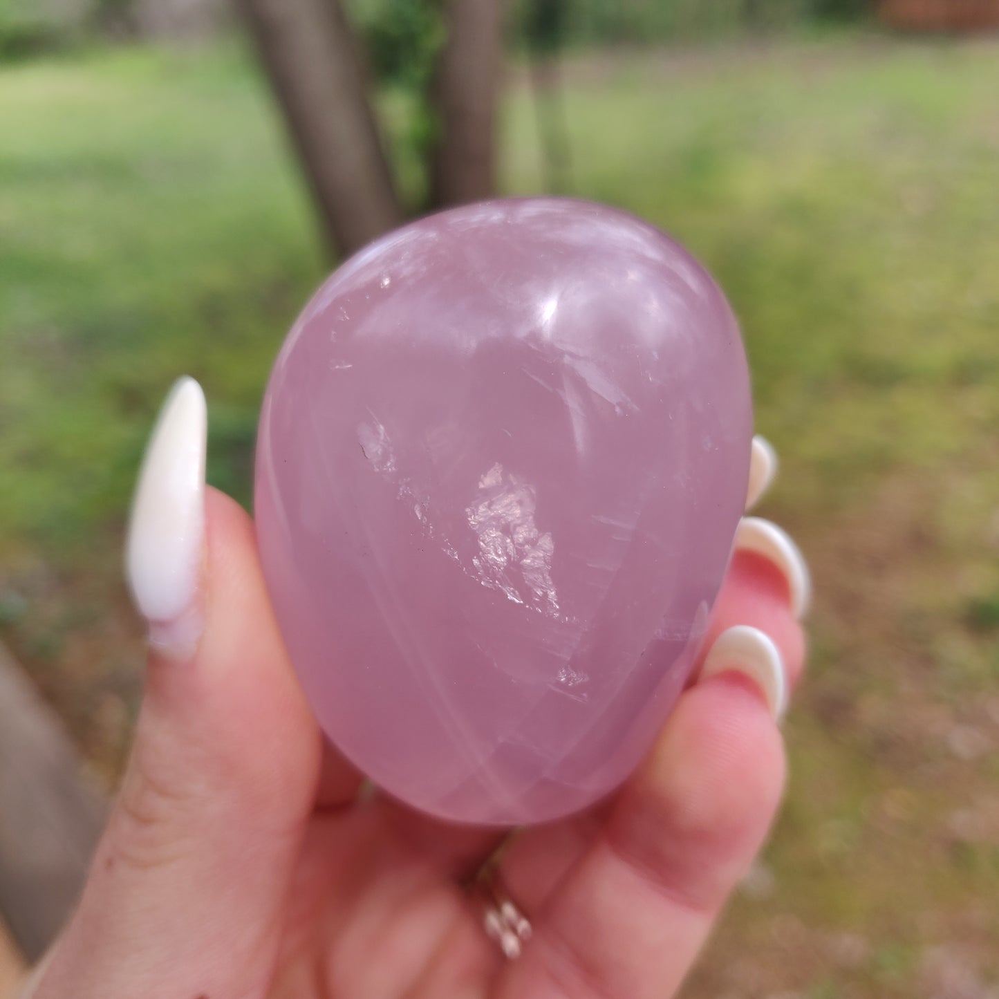 Rose Quartz Palm Stone, Star Rose Quartz (#2)