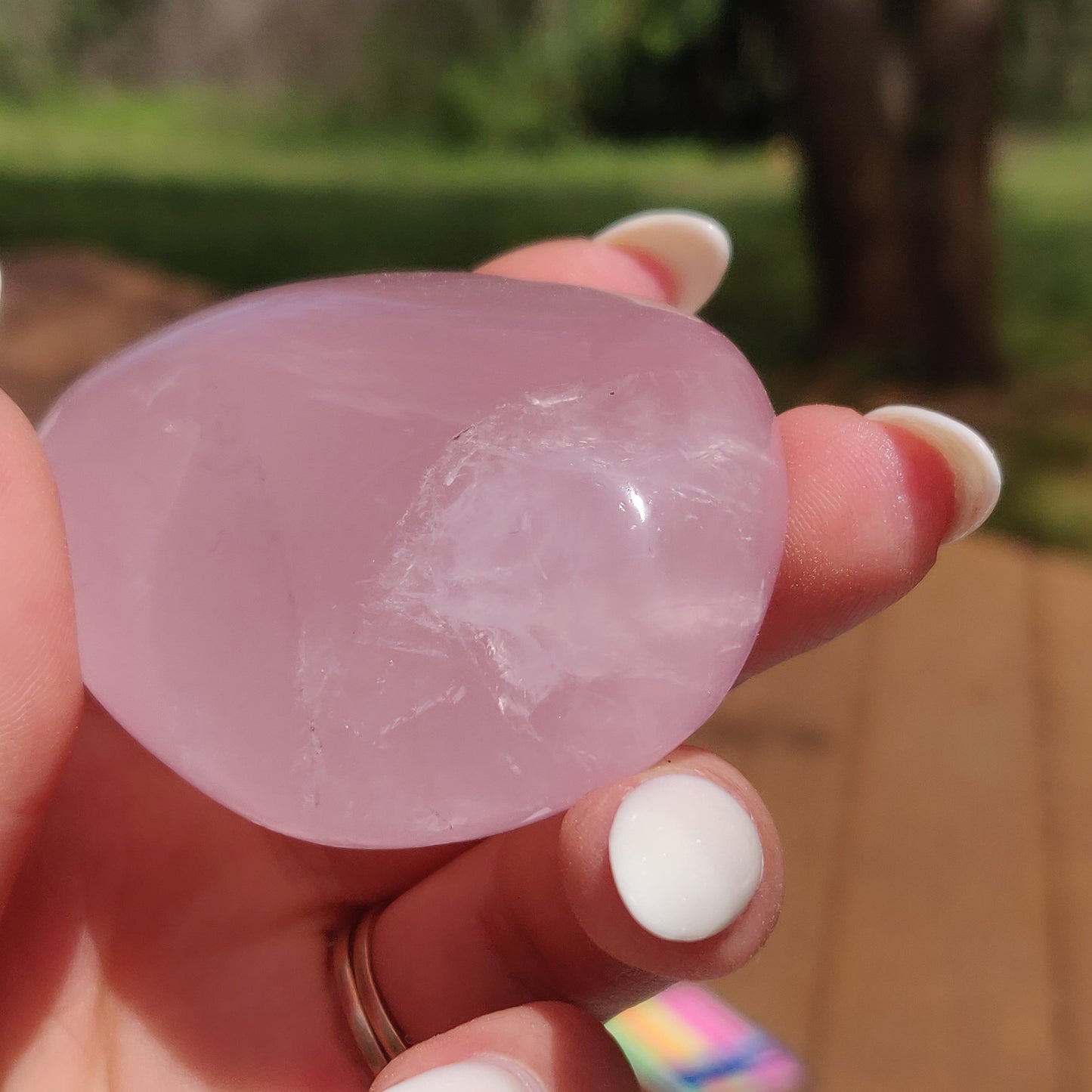Rose Quartz Palm Stone, Star Rose Quartz (#9)