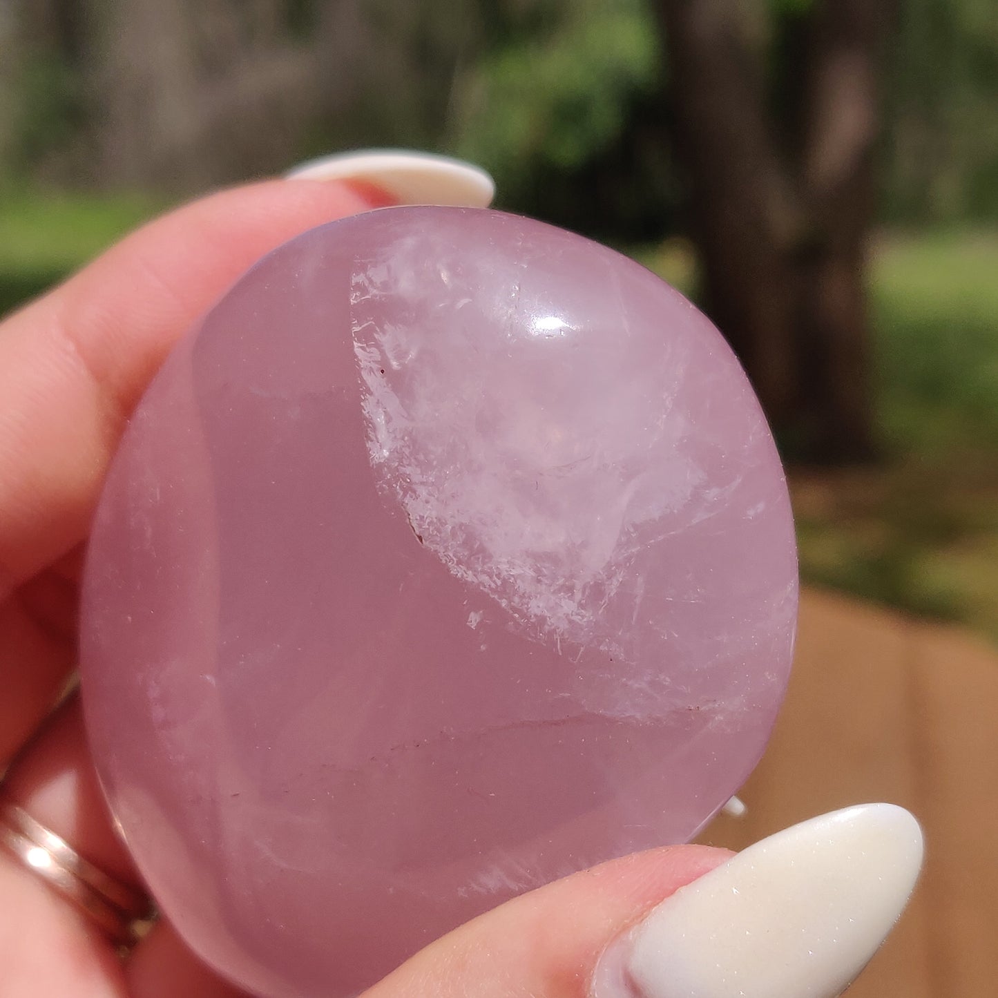 Rose Quartz Palm Stone, Star Rose Quartz (#9)