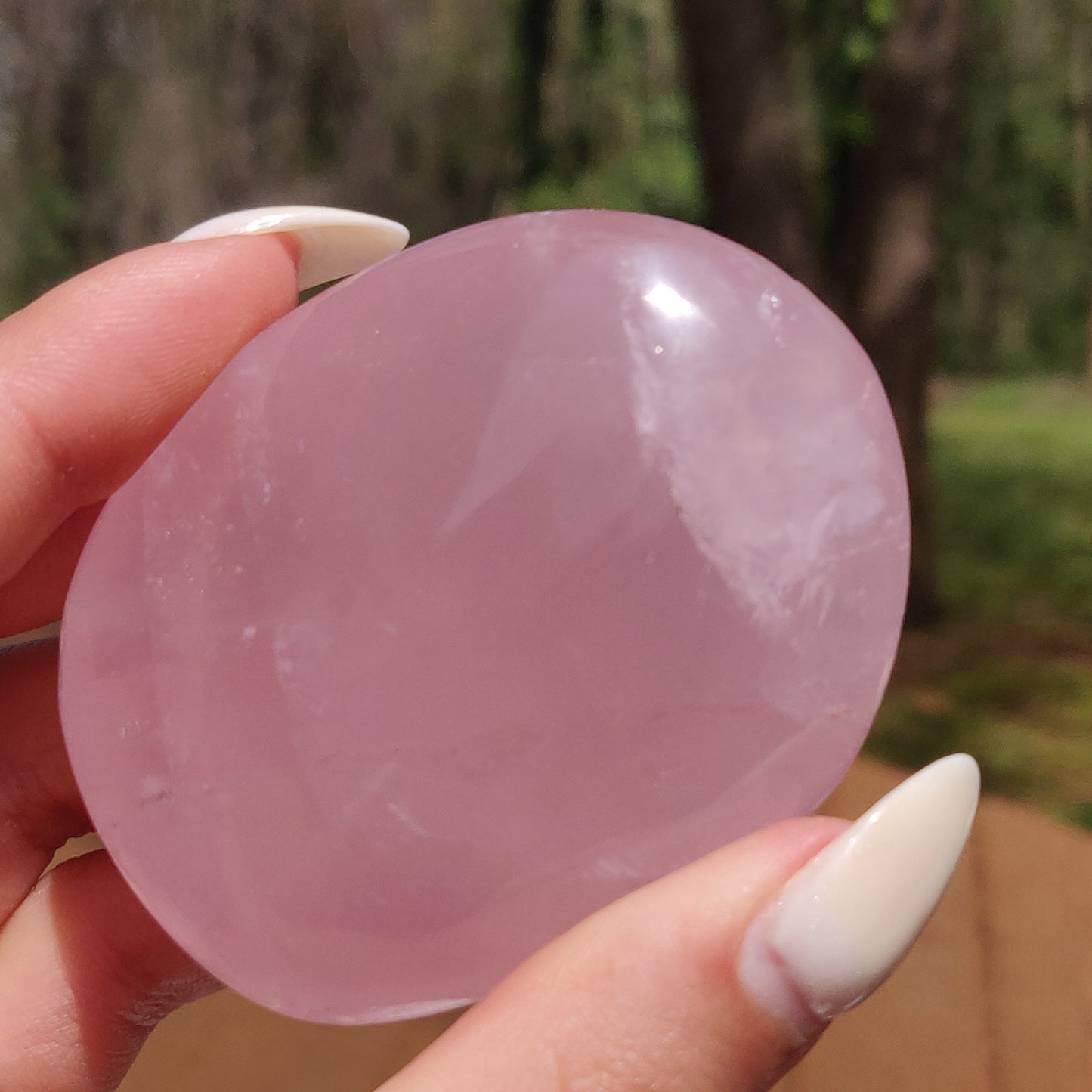 Rose Quartz Palm Stone, Star Rose Quartz (#9)