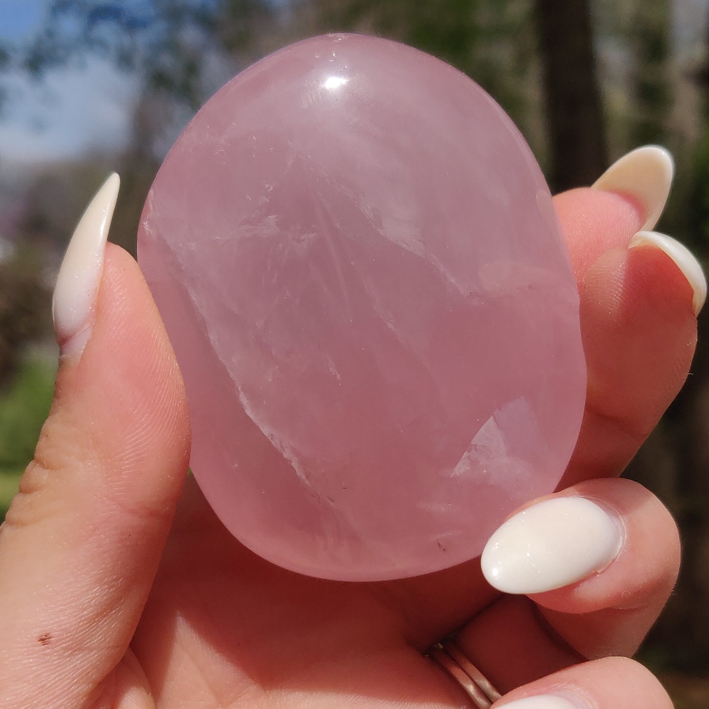 Rose Quartz Palm Stone, Star Rose Quartz (#9)