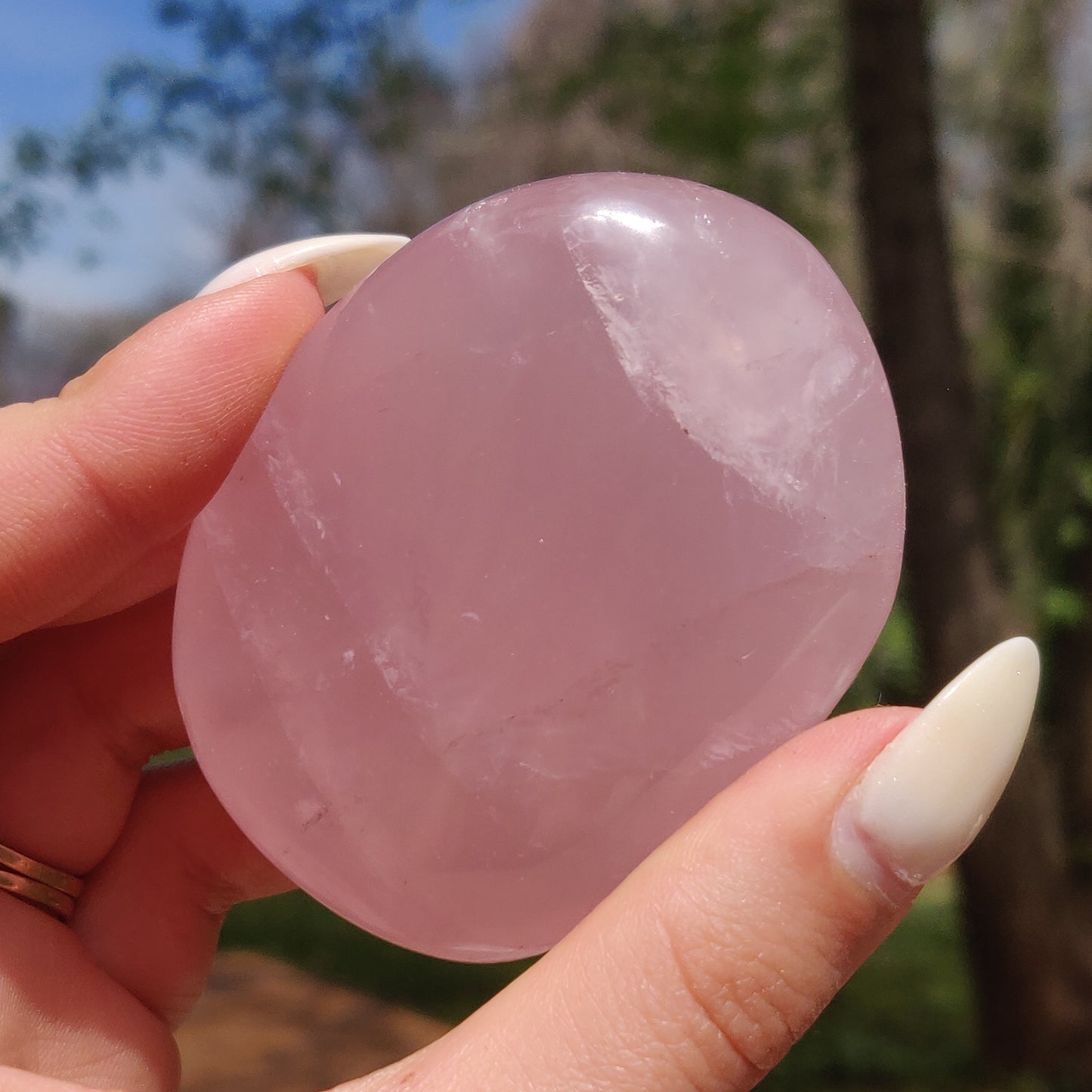 Rose Quartz Palm Stone, Star Rose Quartz (#9)