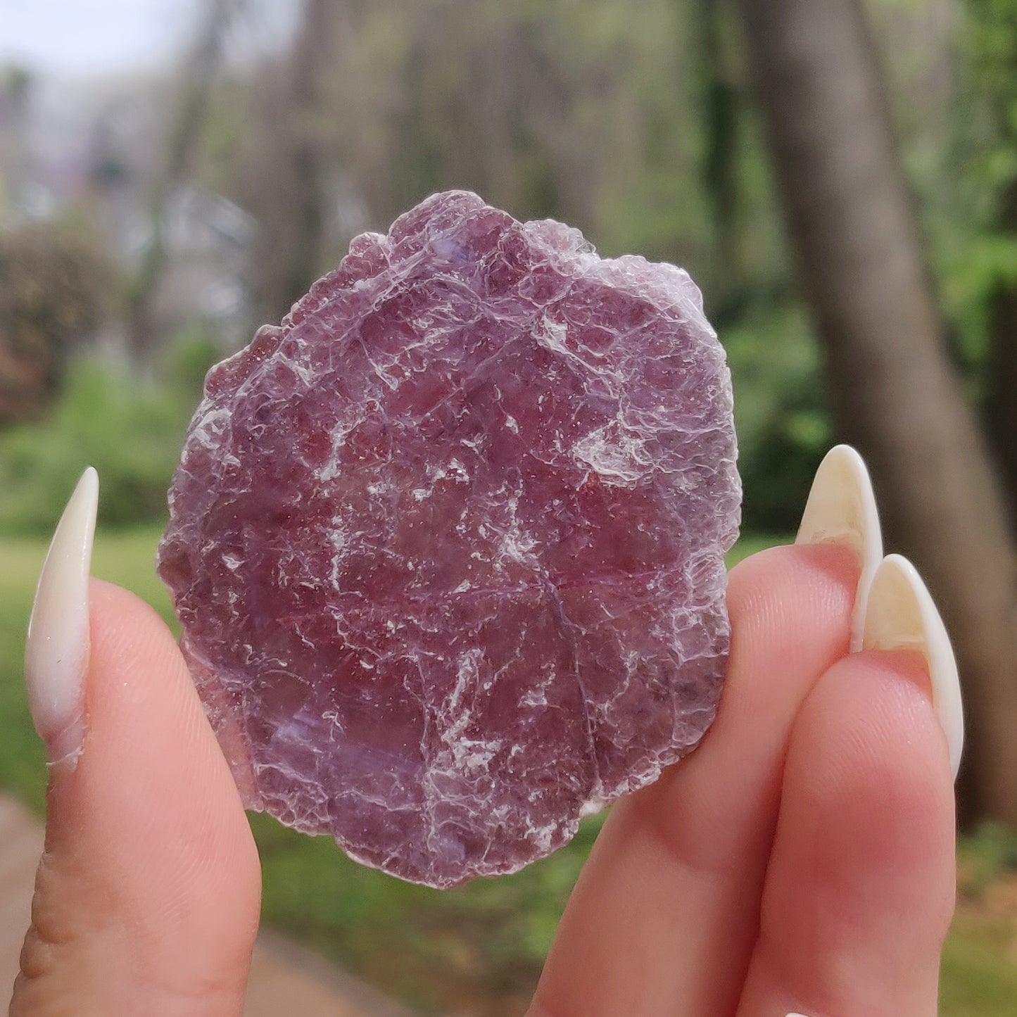 Lepidolite Slab (#4)