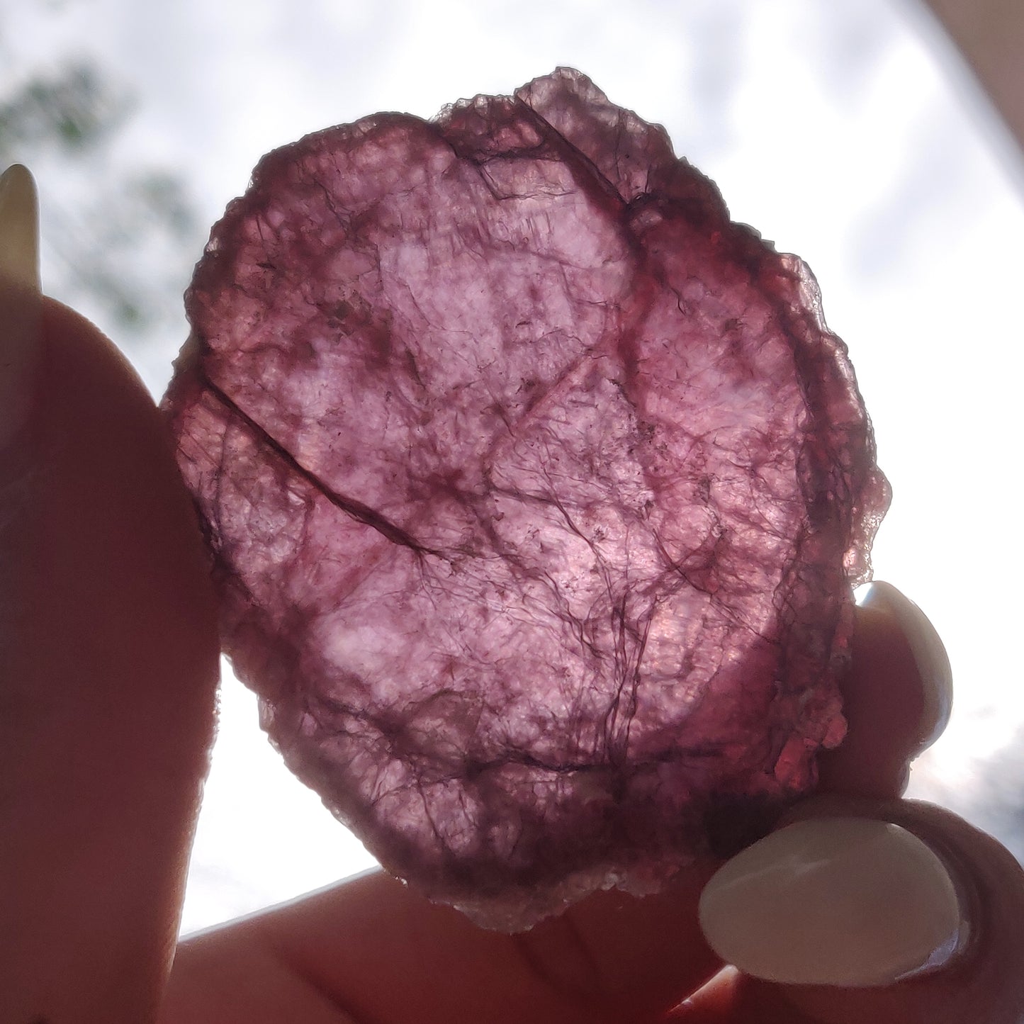 Lepidolite Slab (#4)