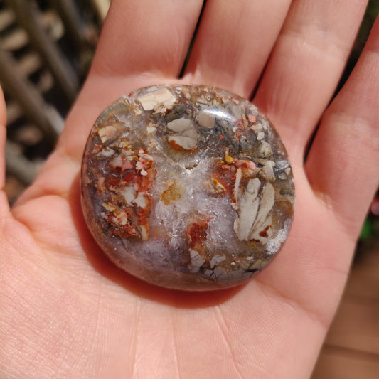 Ibis Jasper Palm Stone (#9)