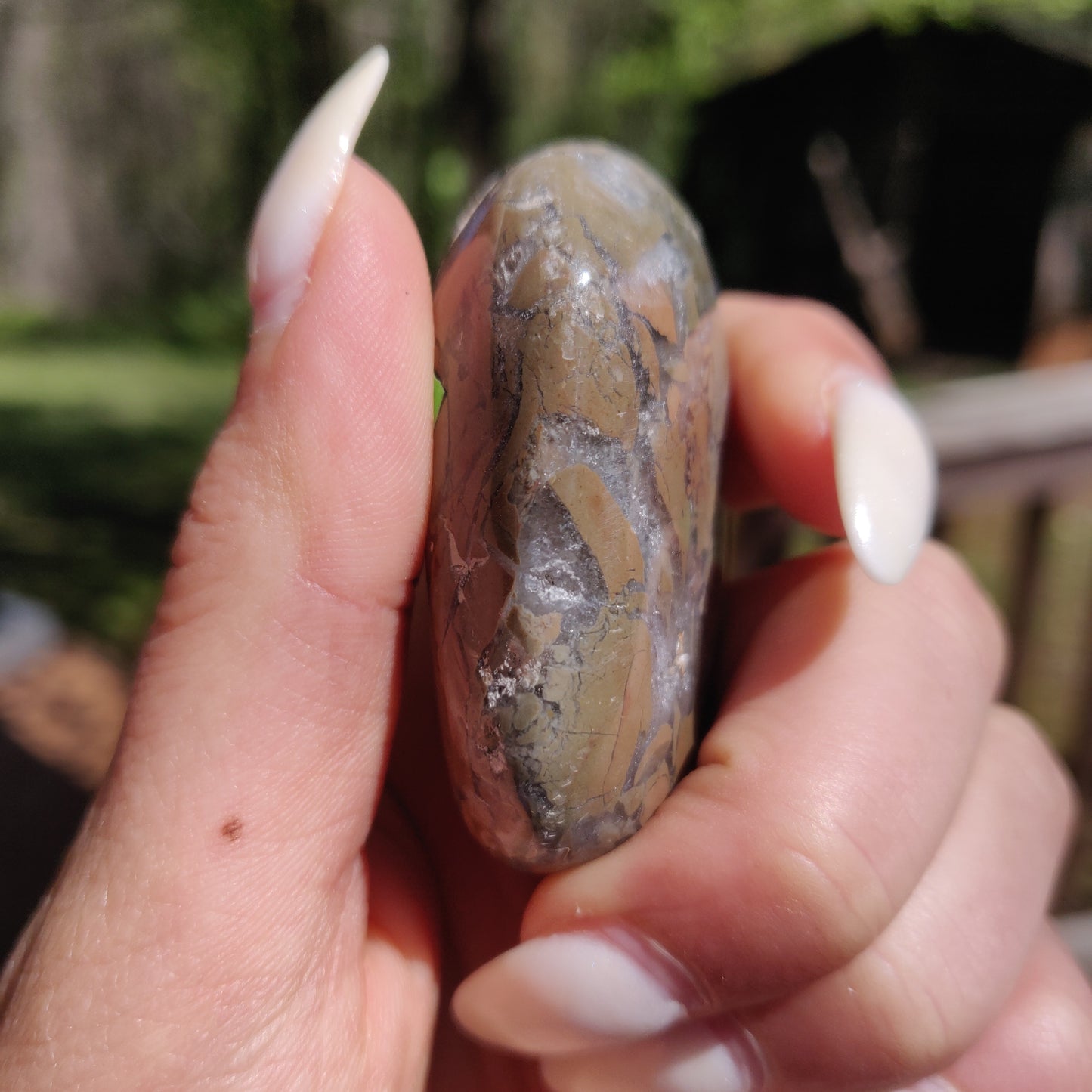 Ibis Jasper Palm Stone (#10)